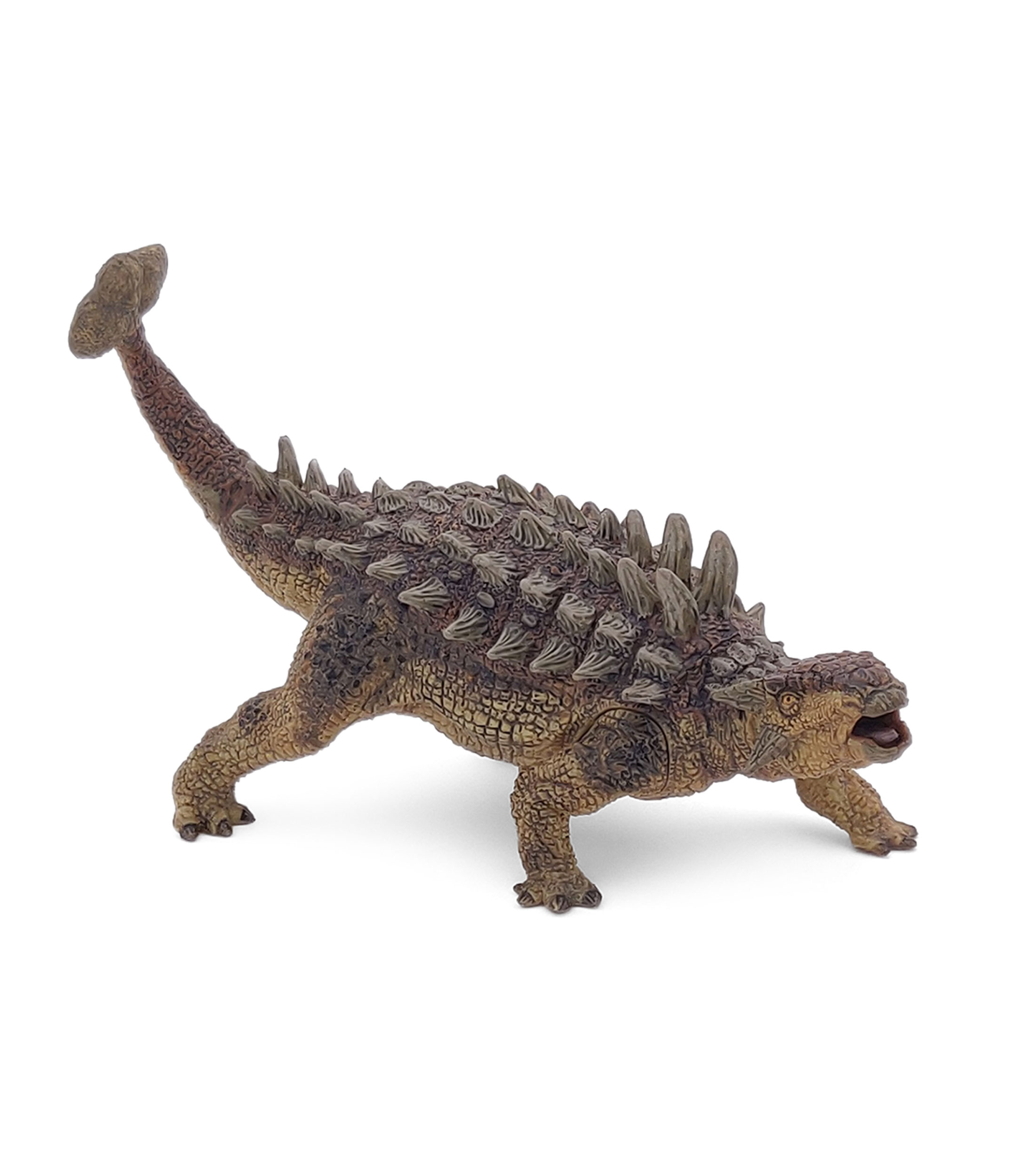 Ankylosaurus