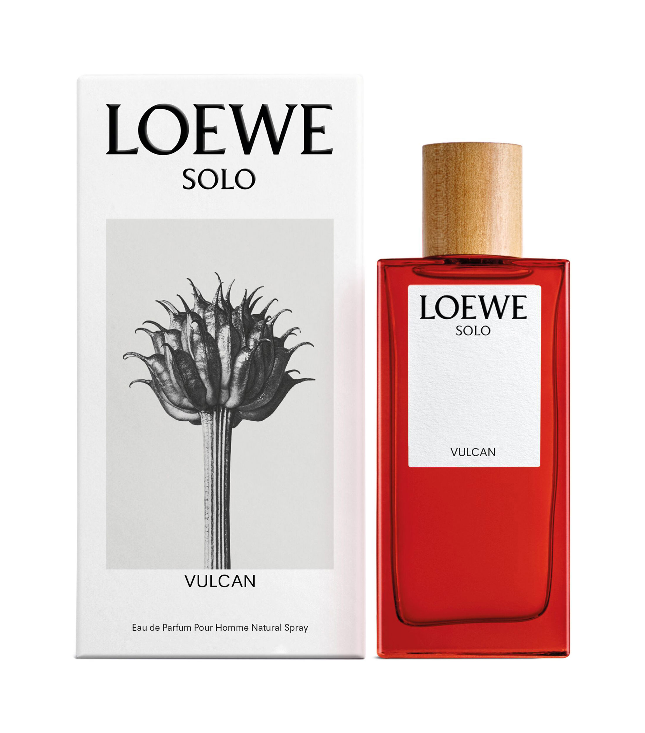 Perfume, Solo Vulcan - Accord, Eau de Parfum, 100 ml para Hombre