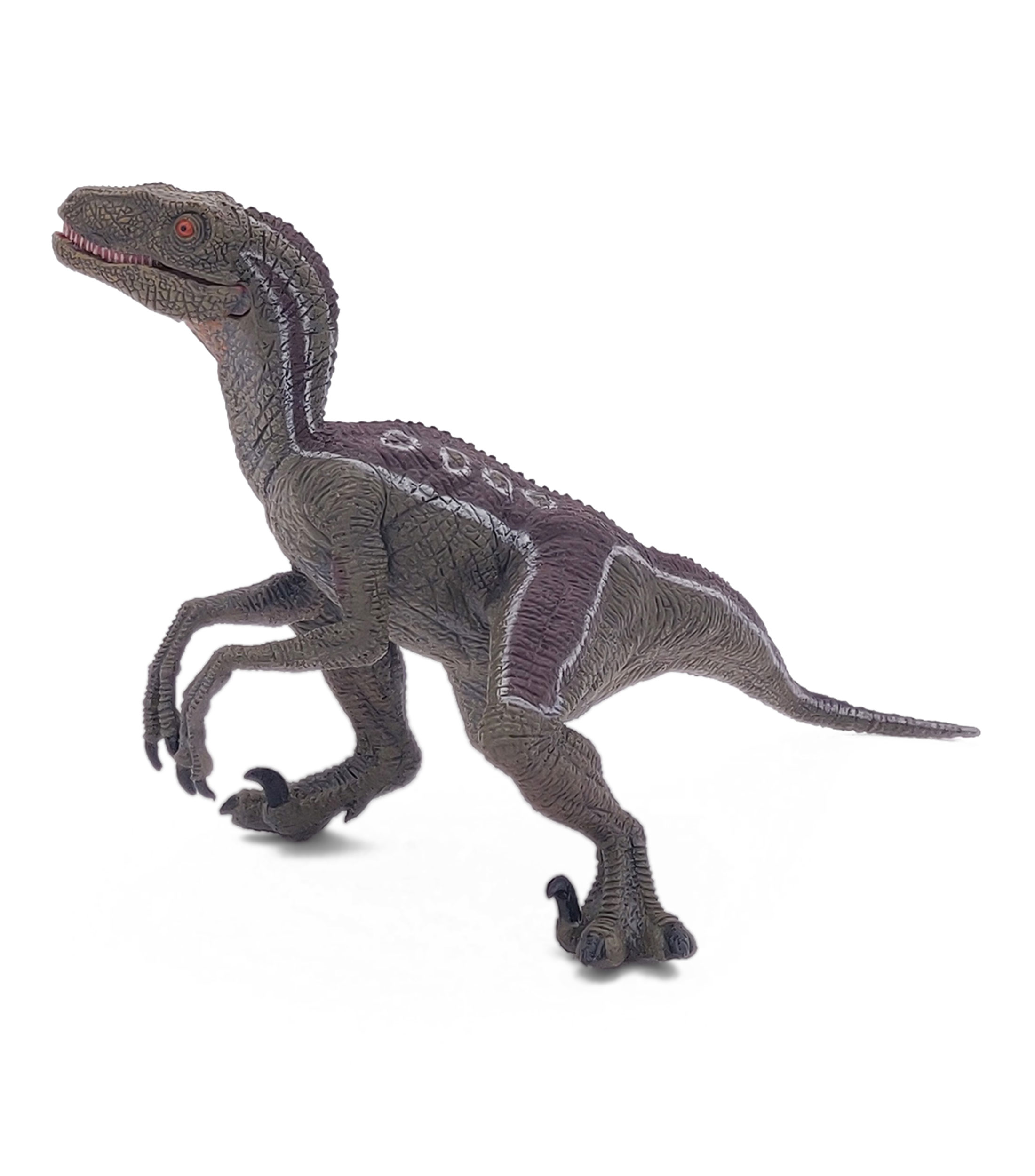 Velociraptor