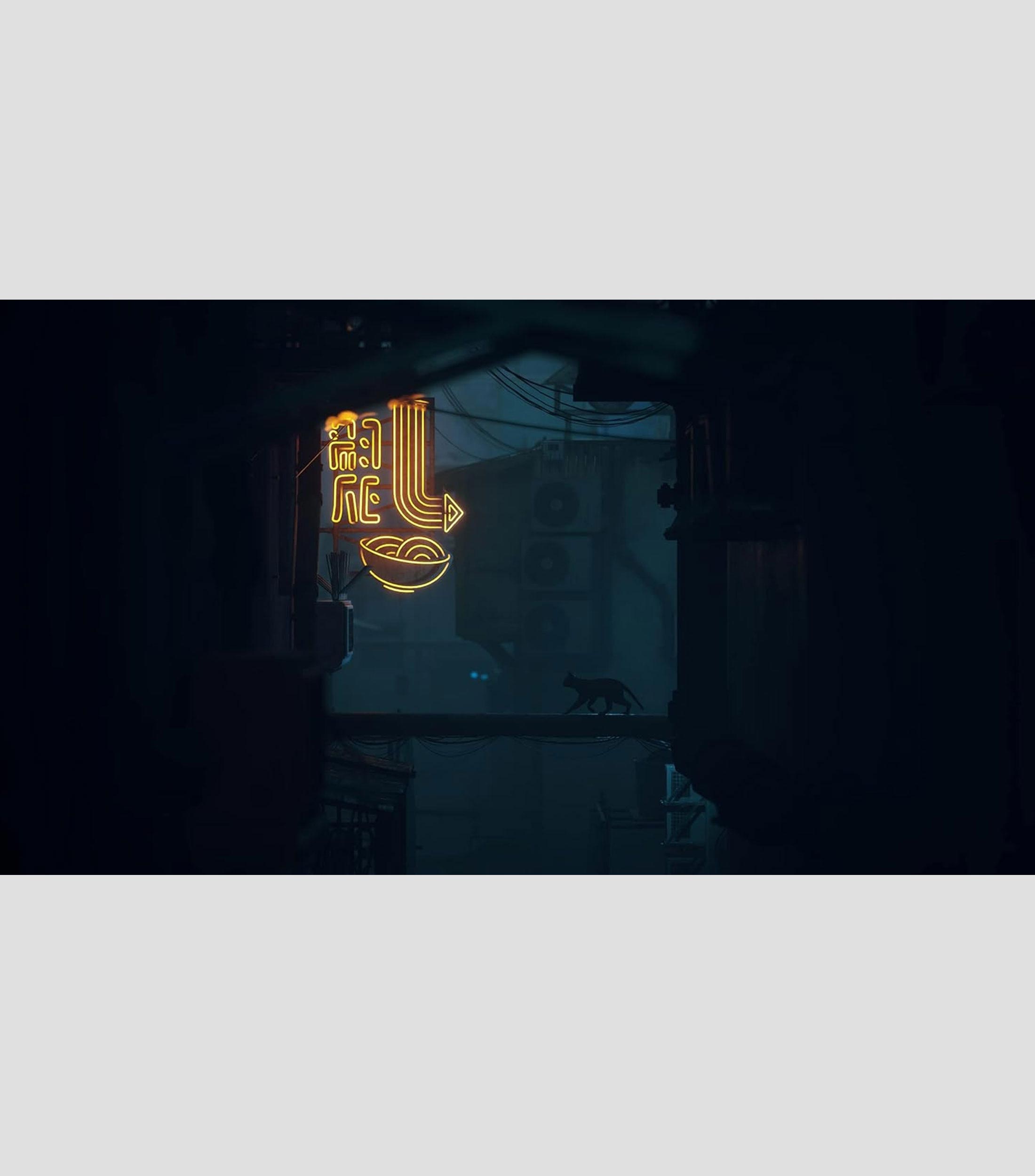 Stray PS5