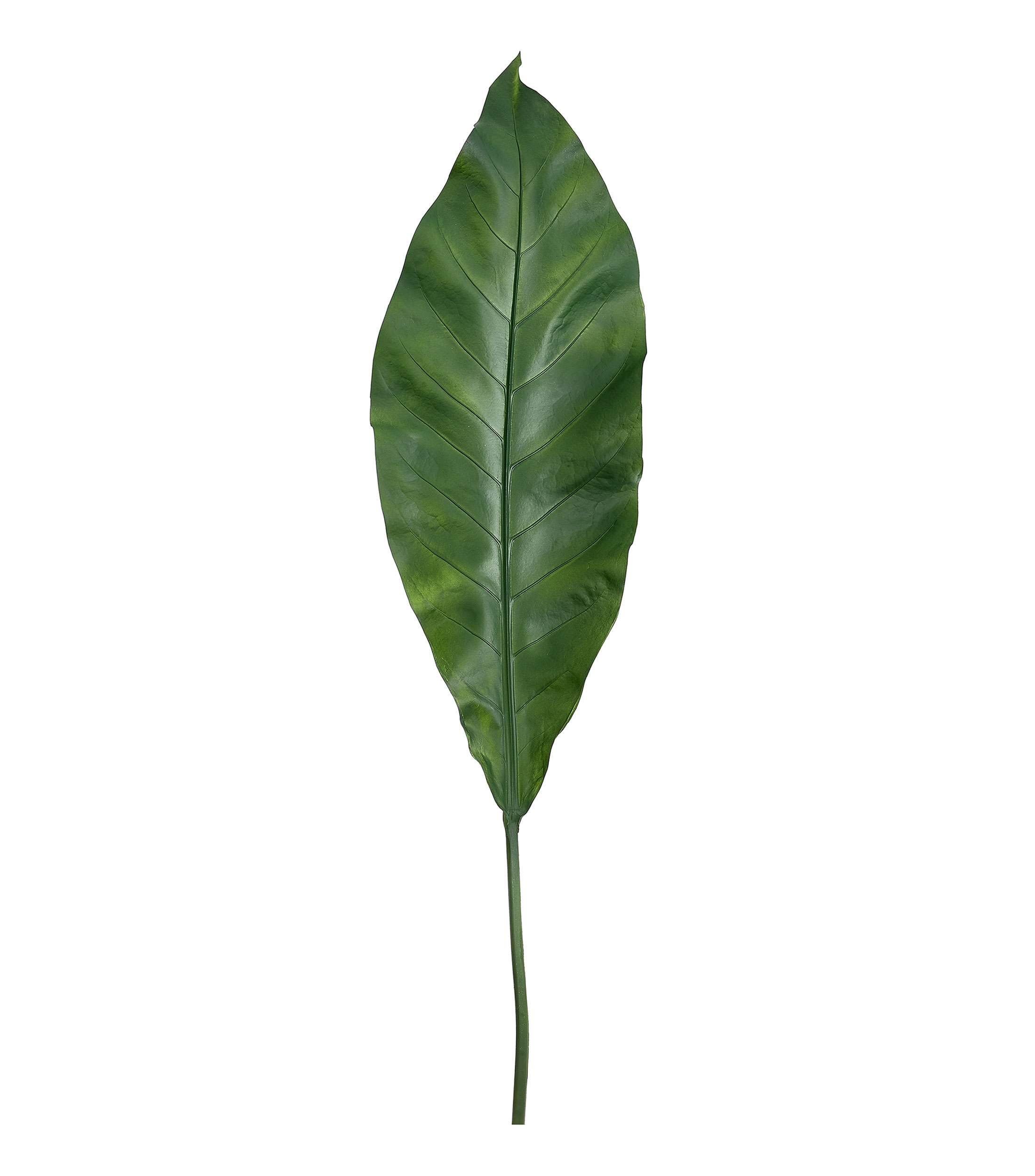 Hoja Decorativa Ave de Paraíso Verde, Artificial