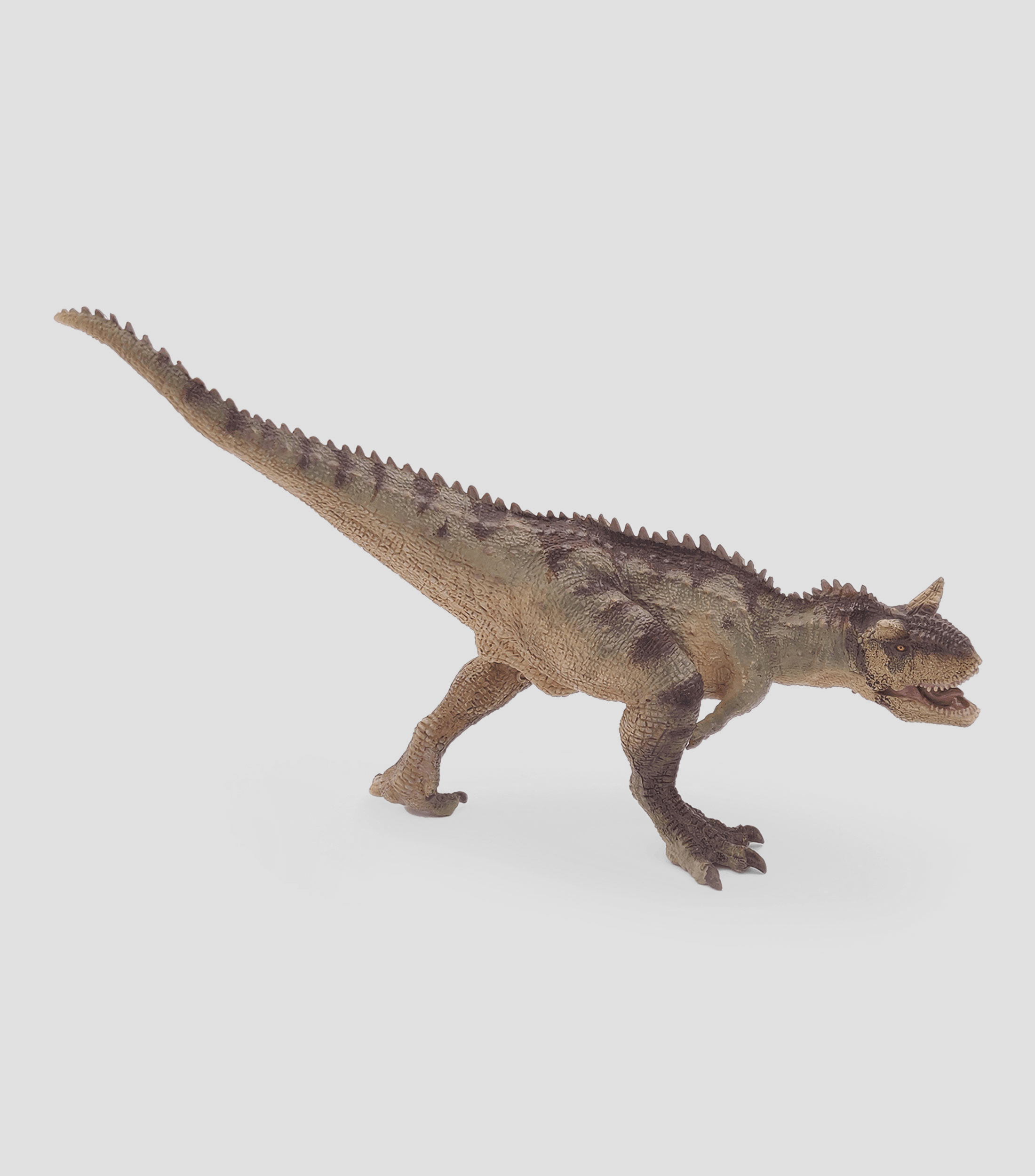 Carnotaurus