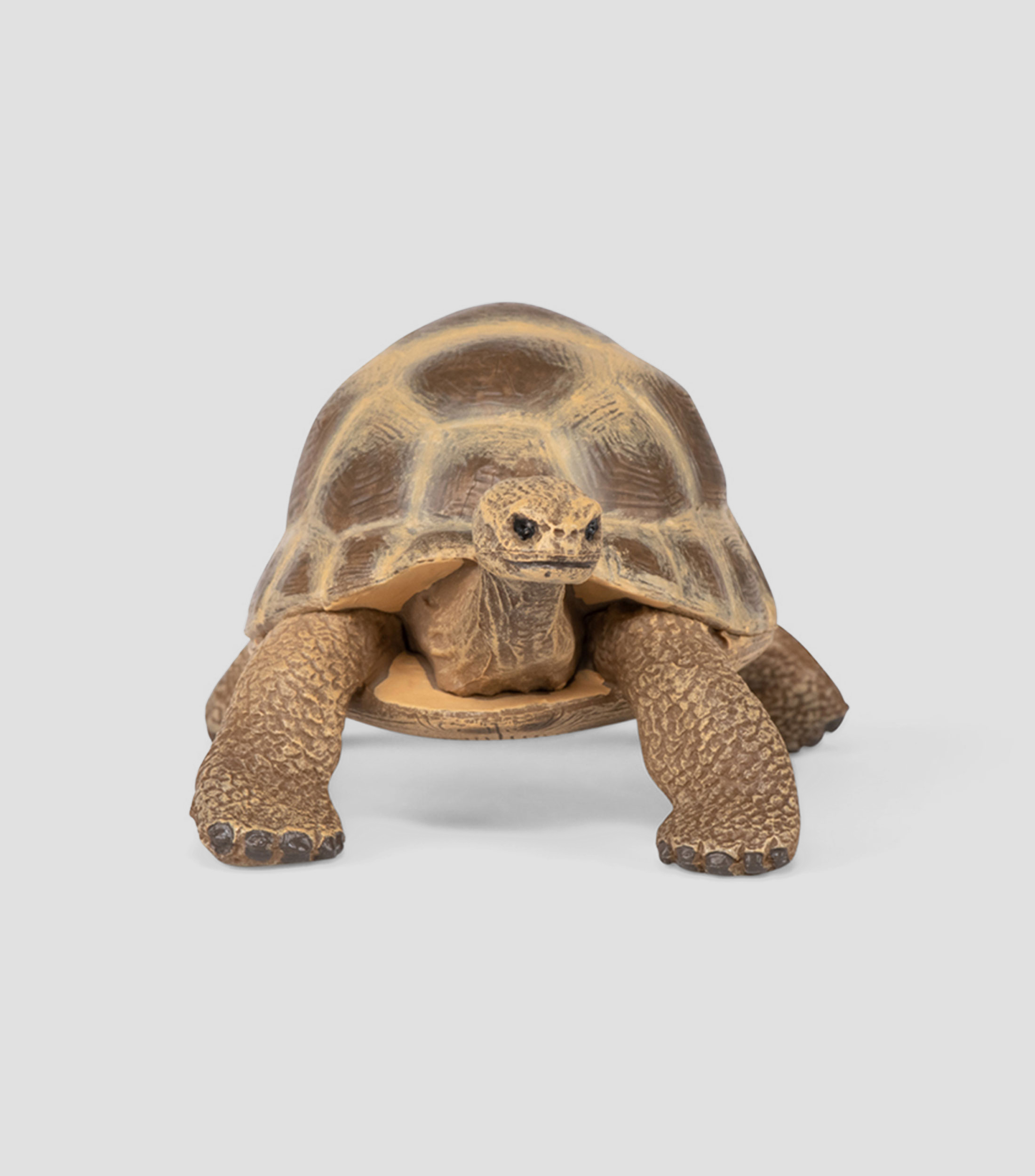 Figura Coleccionable Tortuga Hermanni