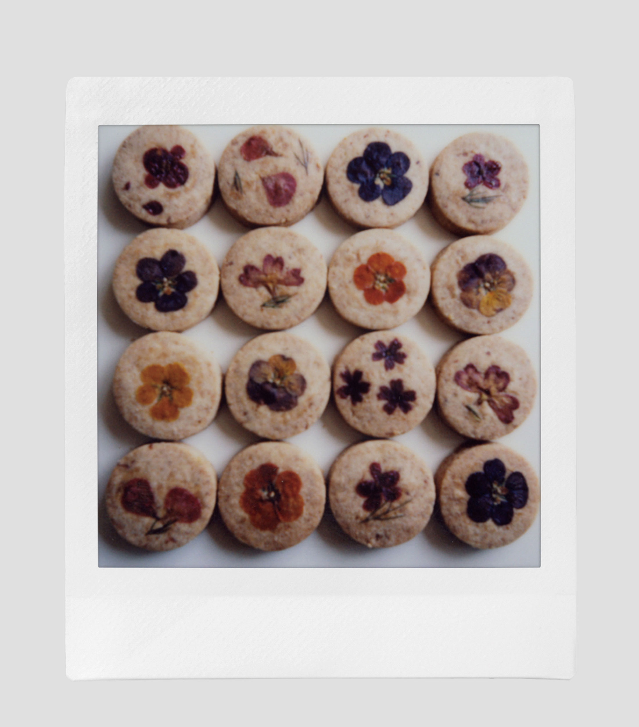 Película Instantánea Instax Square