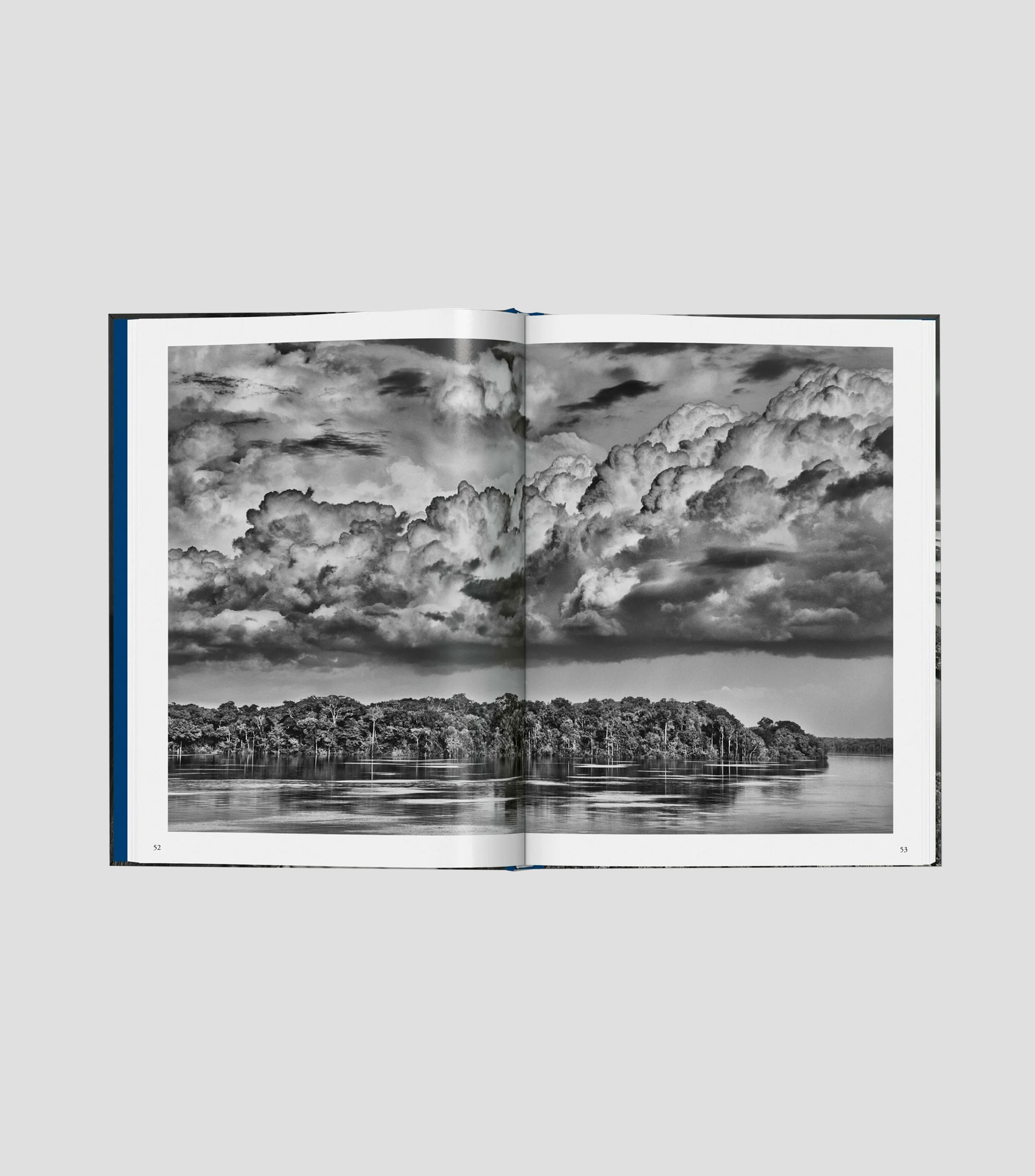 Interés GeneralAmazônia, Sebastião Salgado