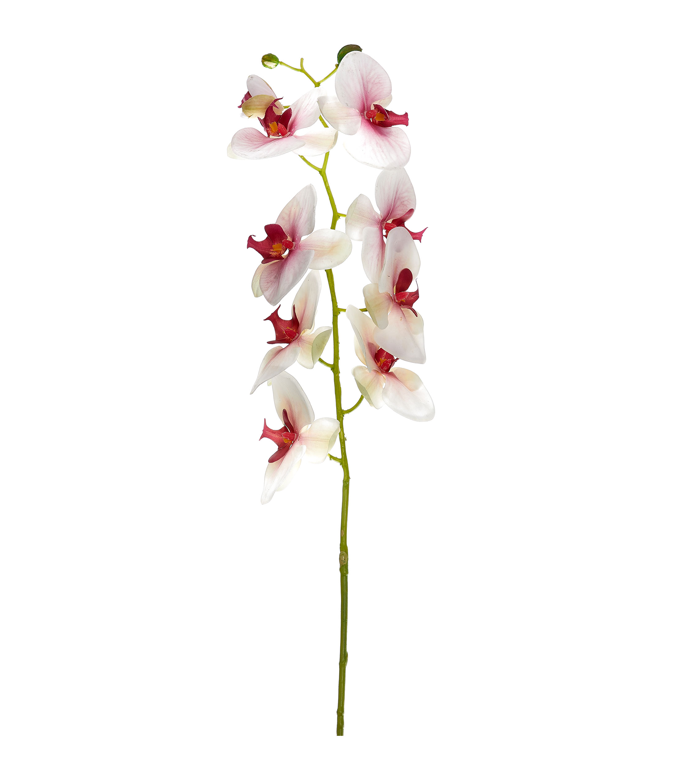 Flor de orquídea decorativa, Artificial