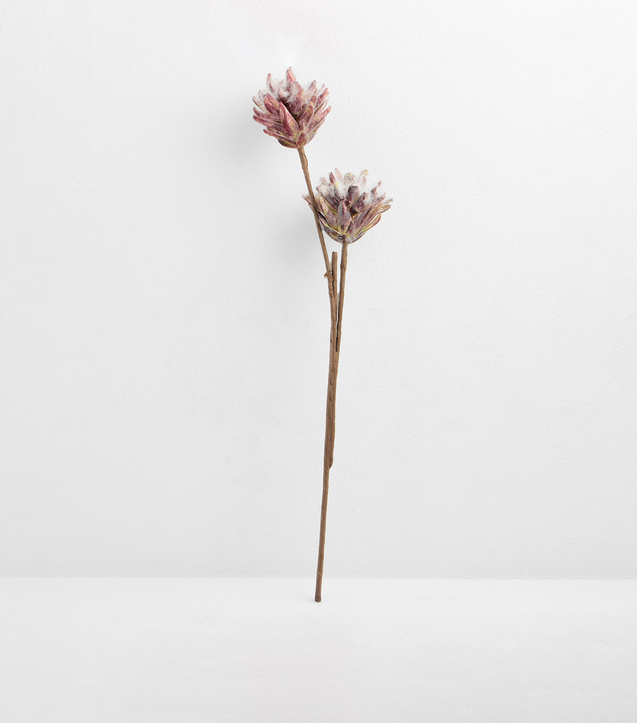 Flor Protea Artificial, 40 cm