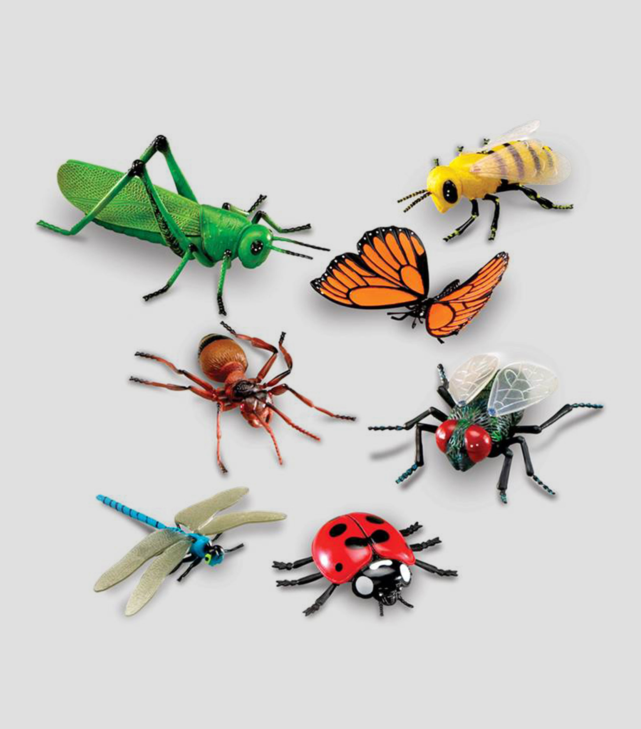 Jumbo Insects