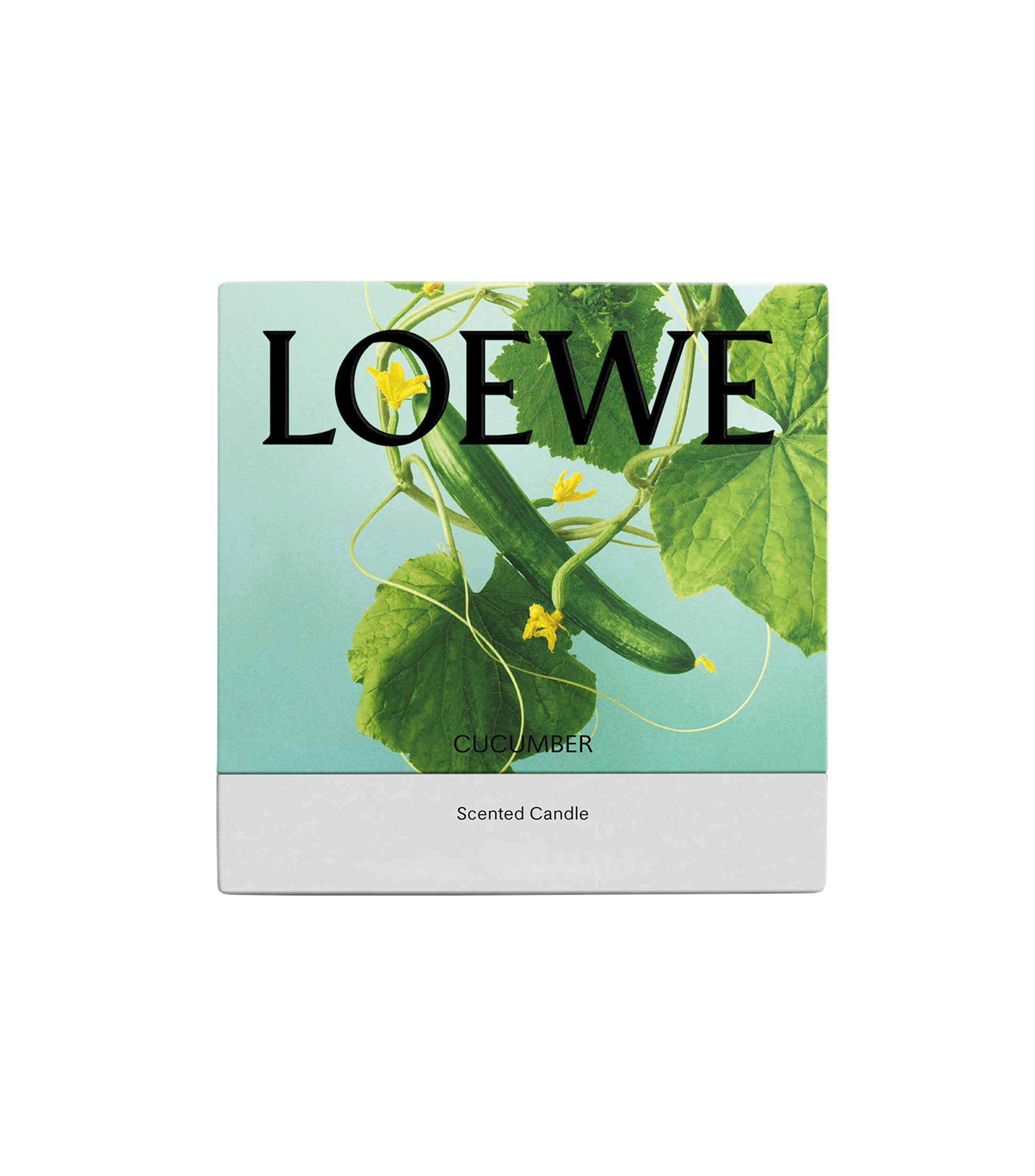 LOEWE HS CUCUMBER CANDLE L