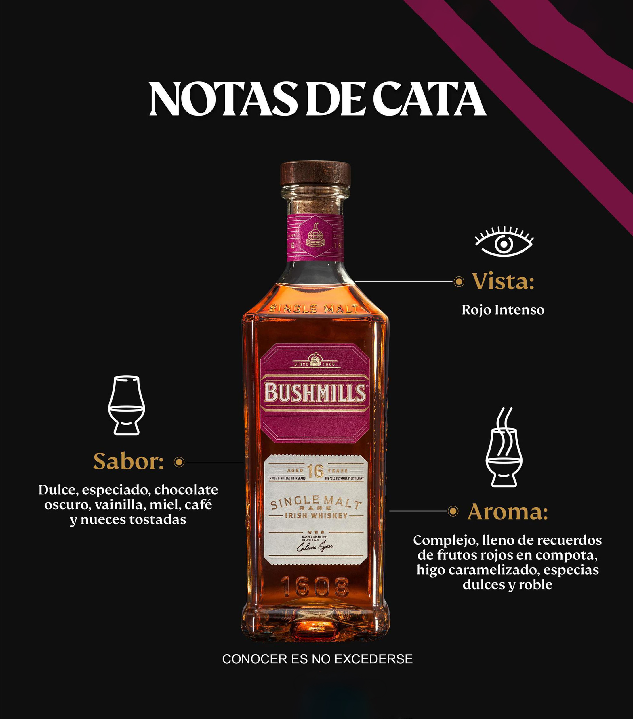 Whiskey Single Malt 16 Anos, 750 ml