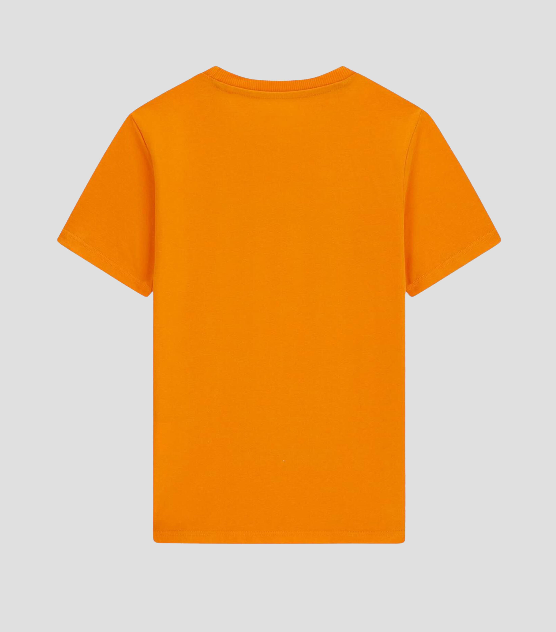 Playera cuello redondo manga corta estampada Niño