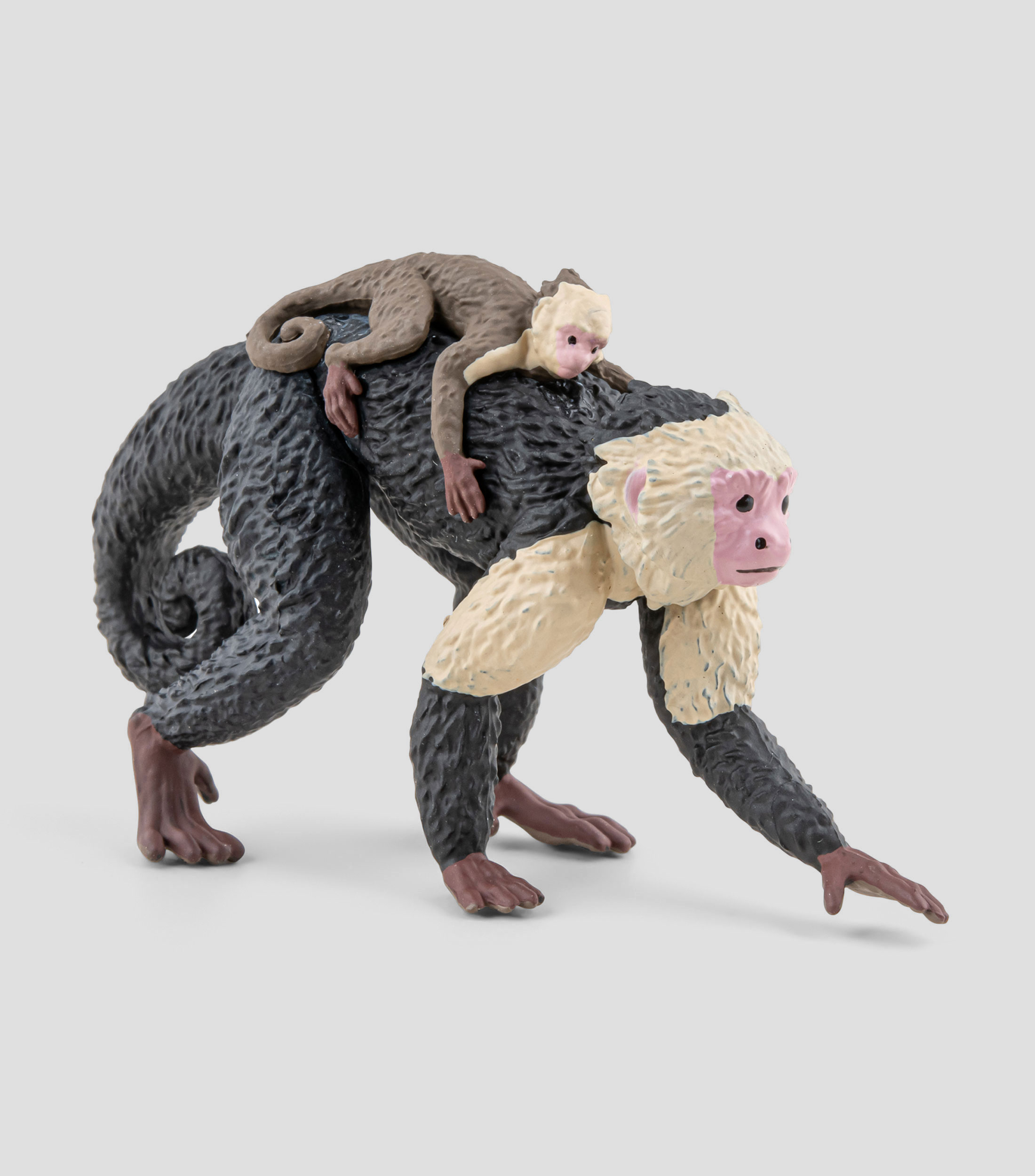 Figura de Mono Capuchino