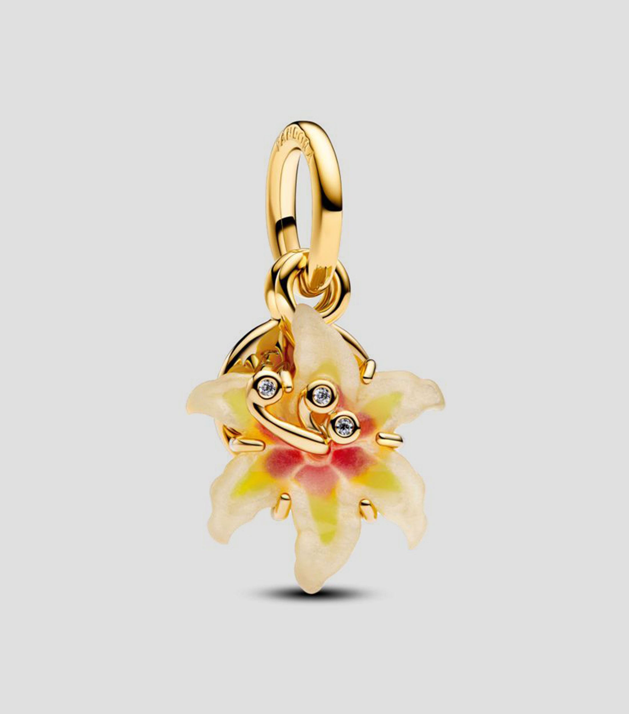 Charm en Plata .925 Tangled Dangle Unisex