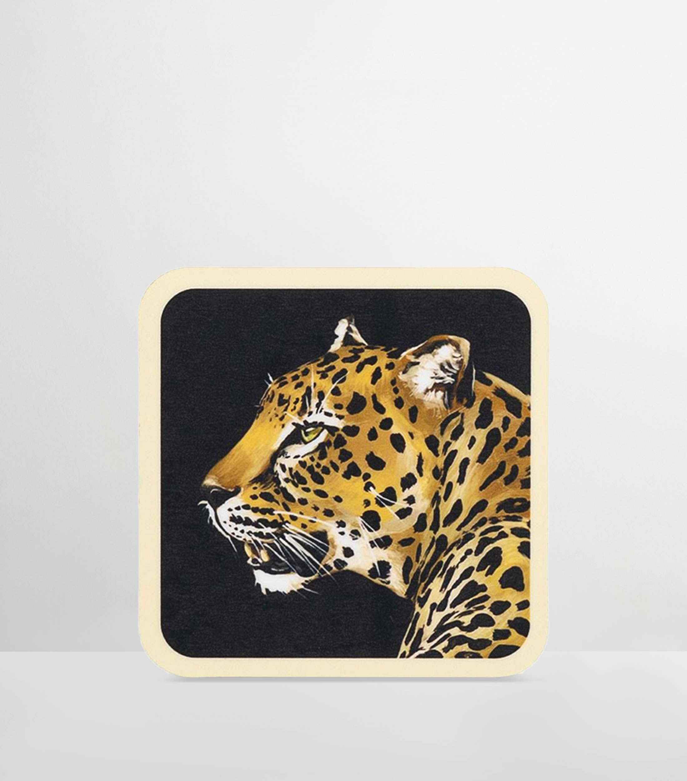 Set 12 portavasos leopardo