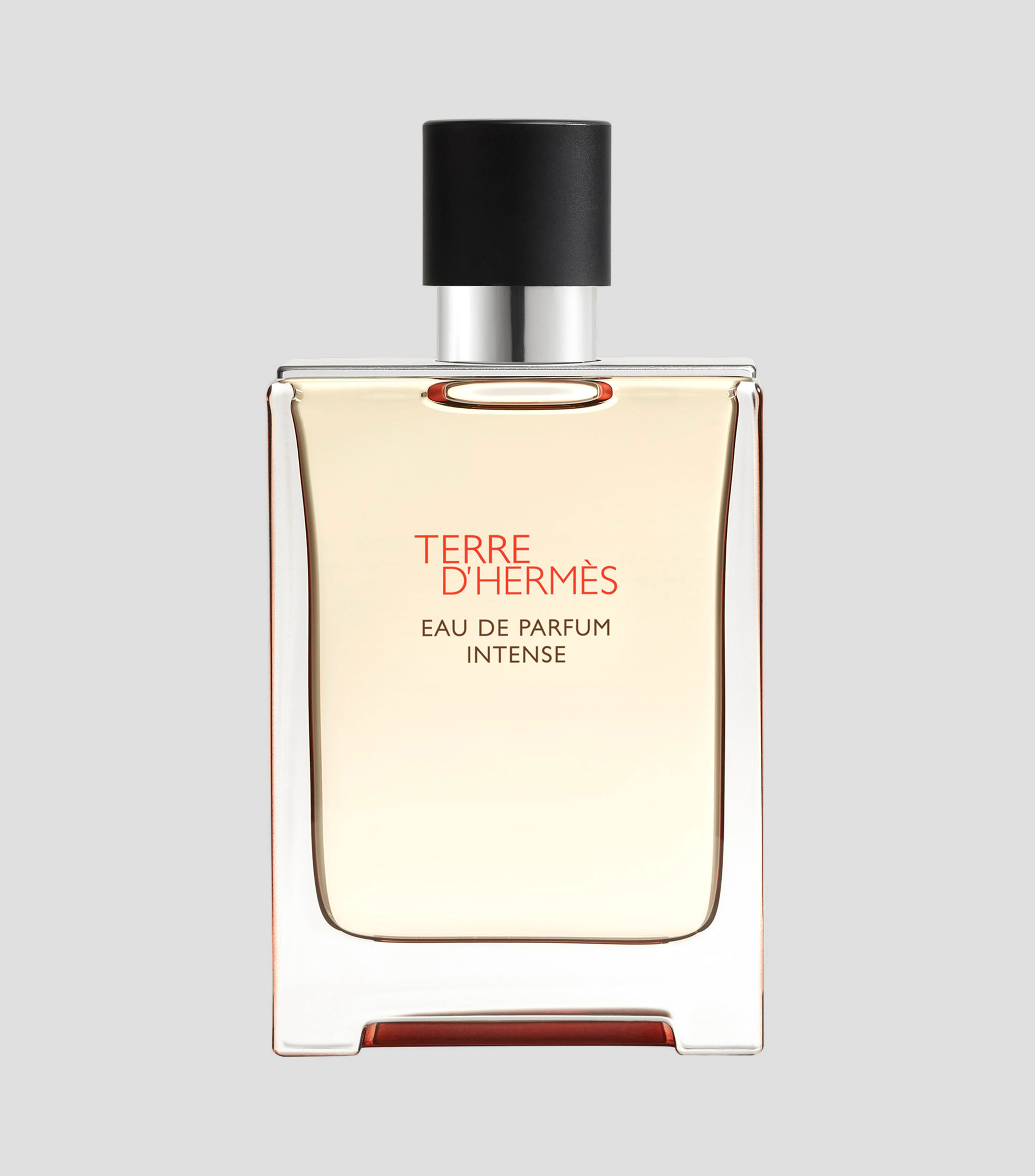 Perfume Terre dHermes, Eau de Parfum Intense, 100 ml para Hombre