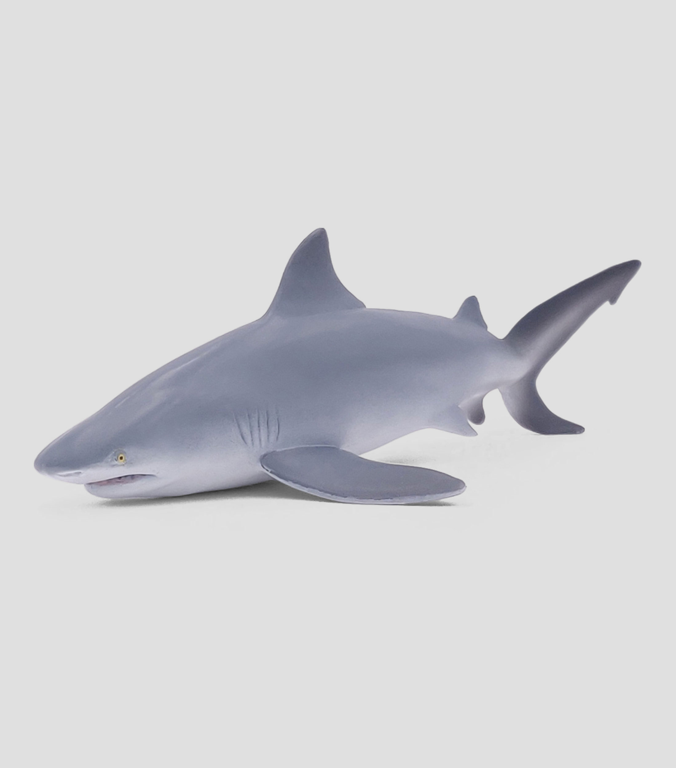 Tiburon Toro