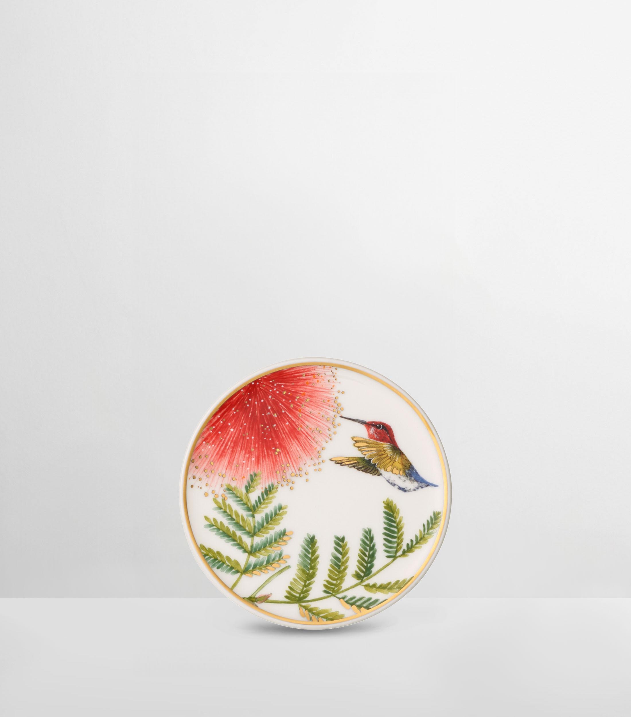 AMAZONIA GIFTS POSAVASOS