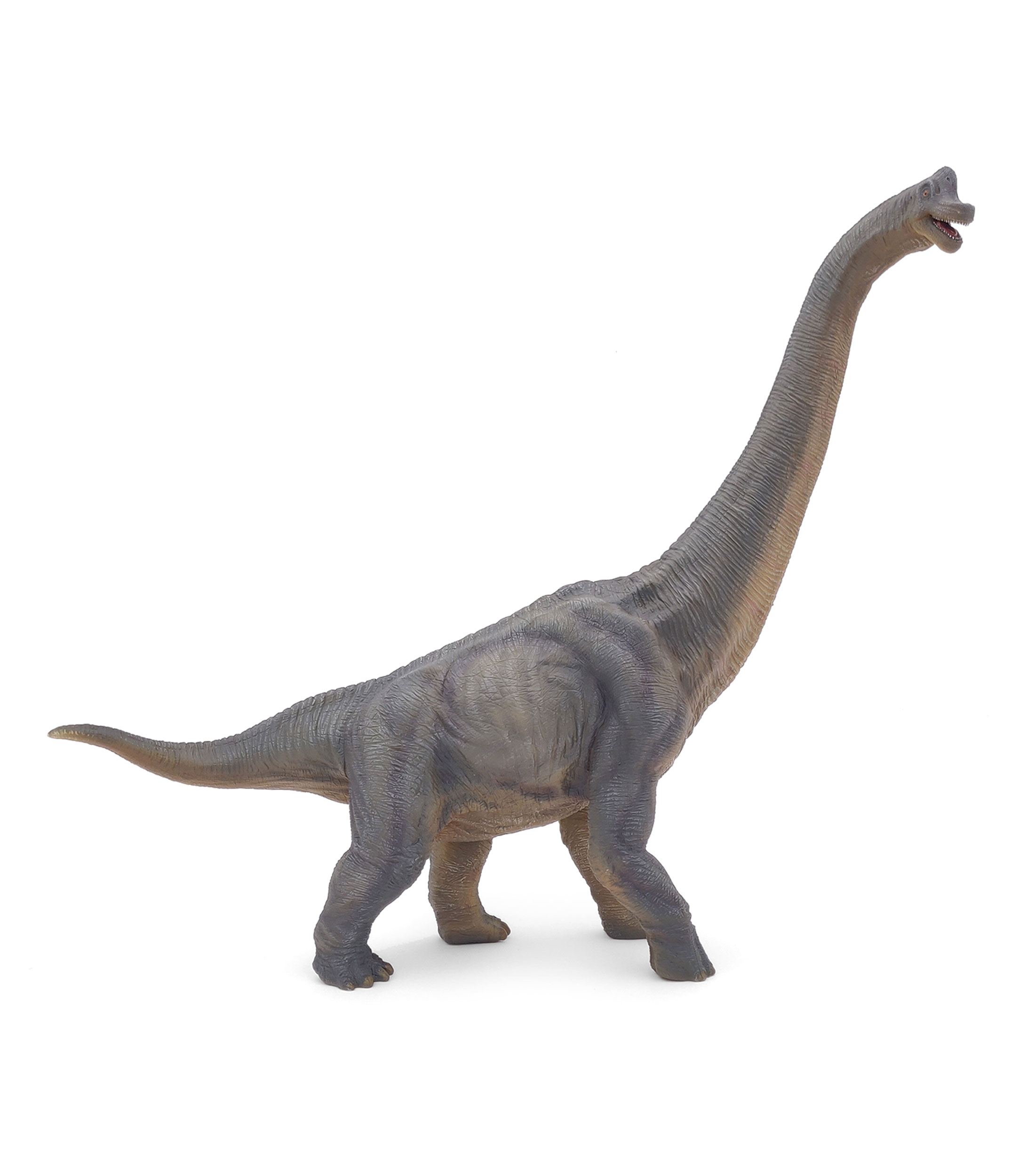 Brachiosaurus