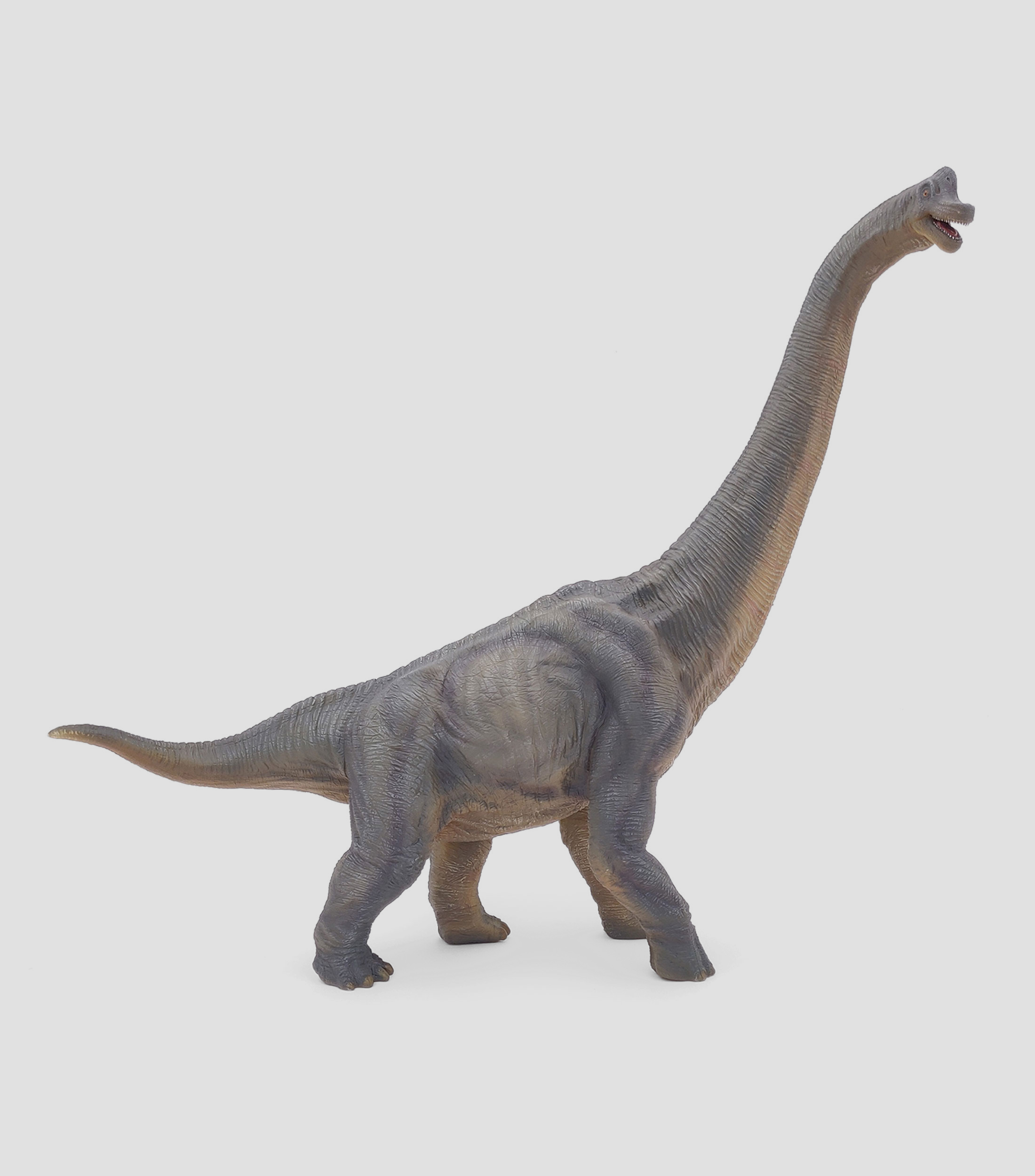 Brachiosaurus