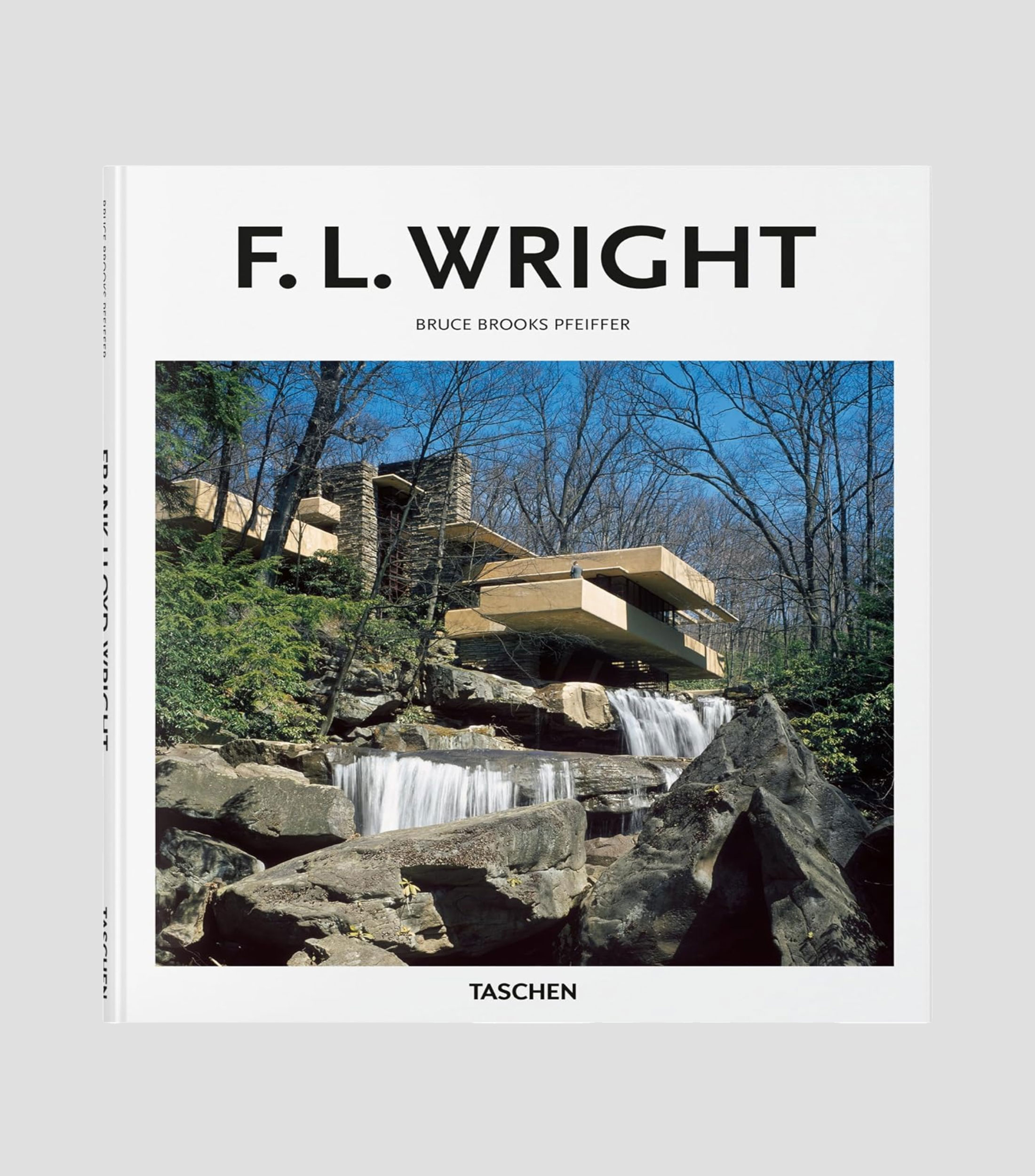 Arte Y RecreaciónF. L. Wright, Bruce Brooks Pfeiffer, Peter Gössel