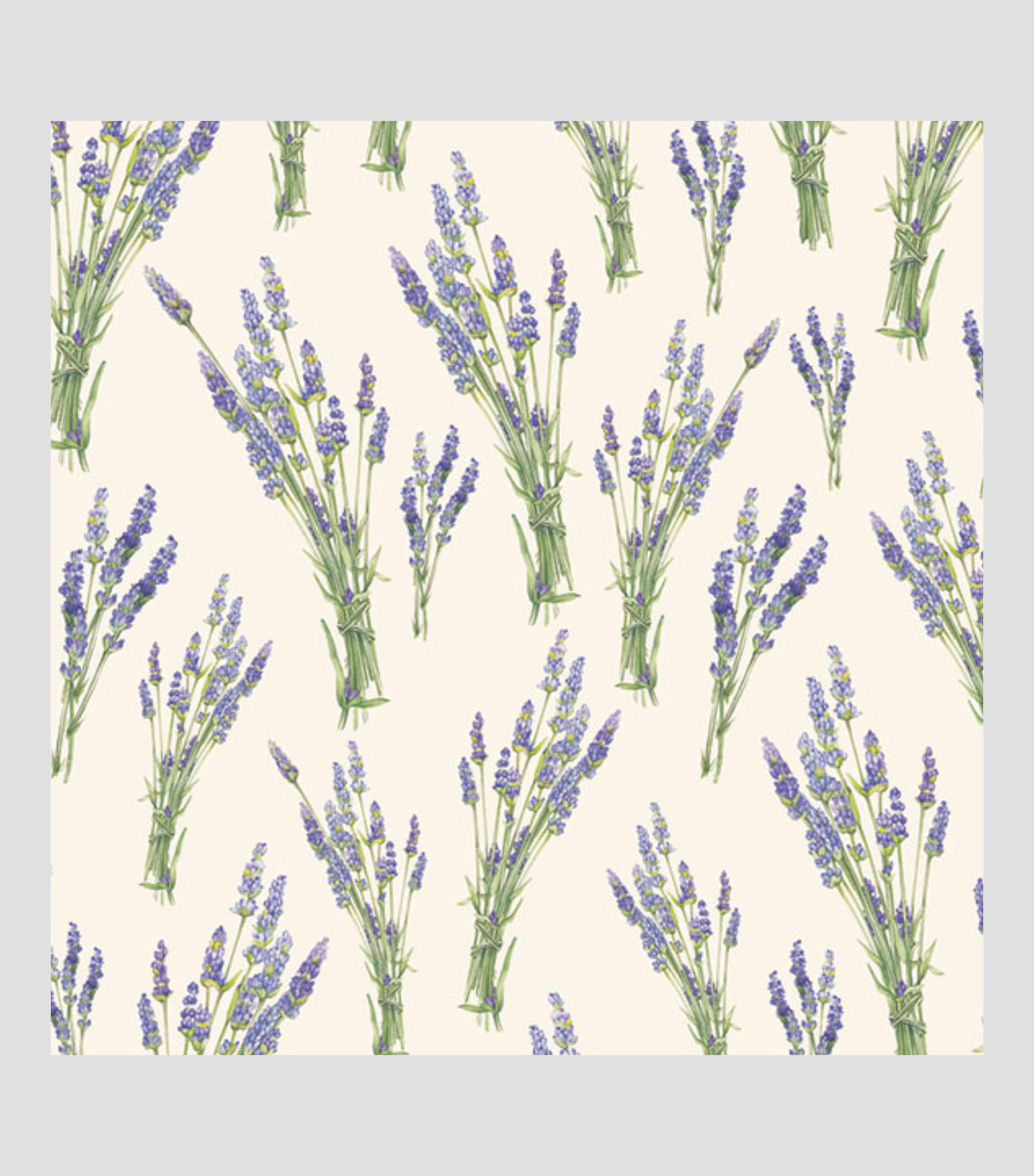 Pliego de papel Tassotti Ramo de lavanda 50 x 70 cm