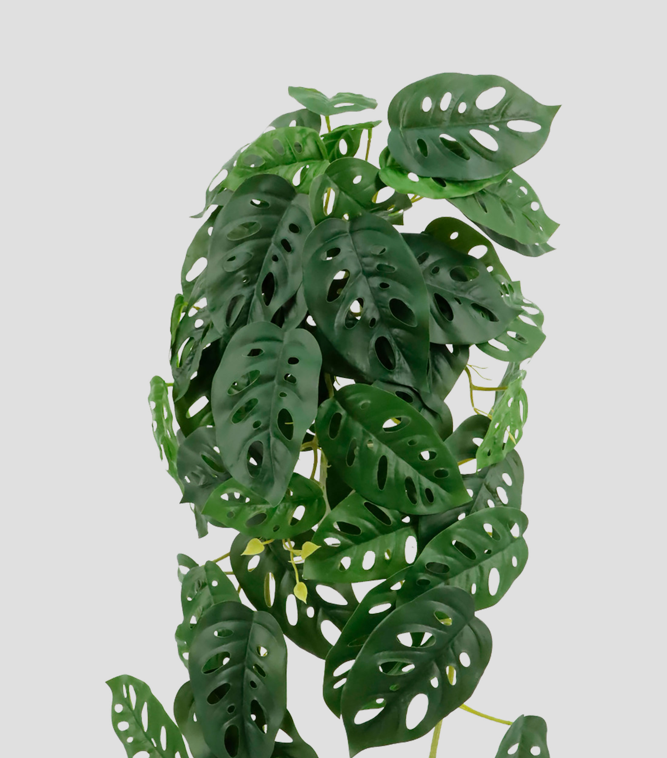 Planta colgante Monstera Adansonii, Artificial