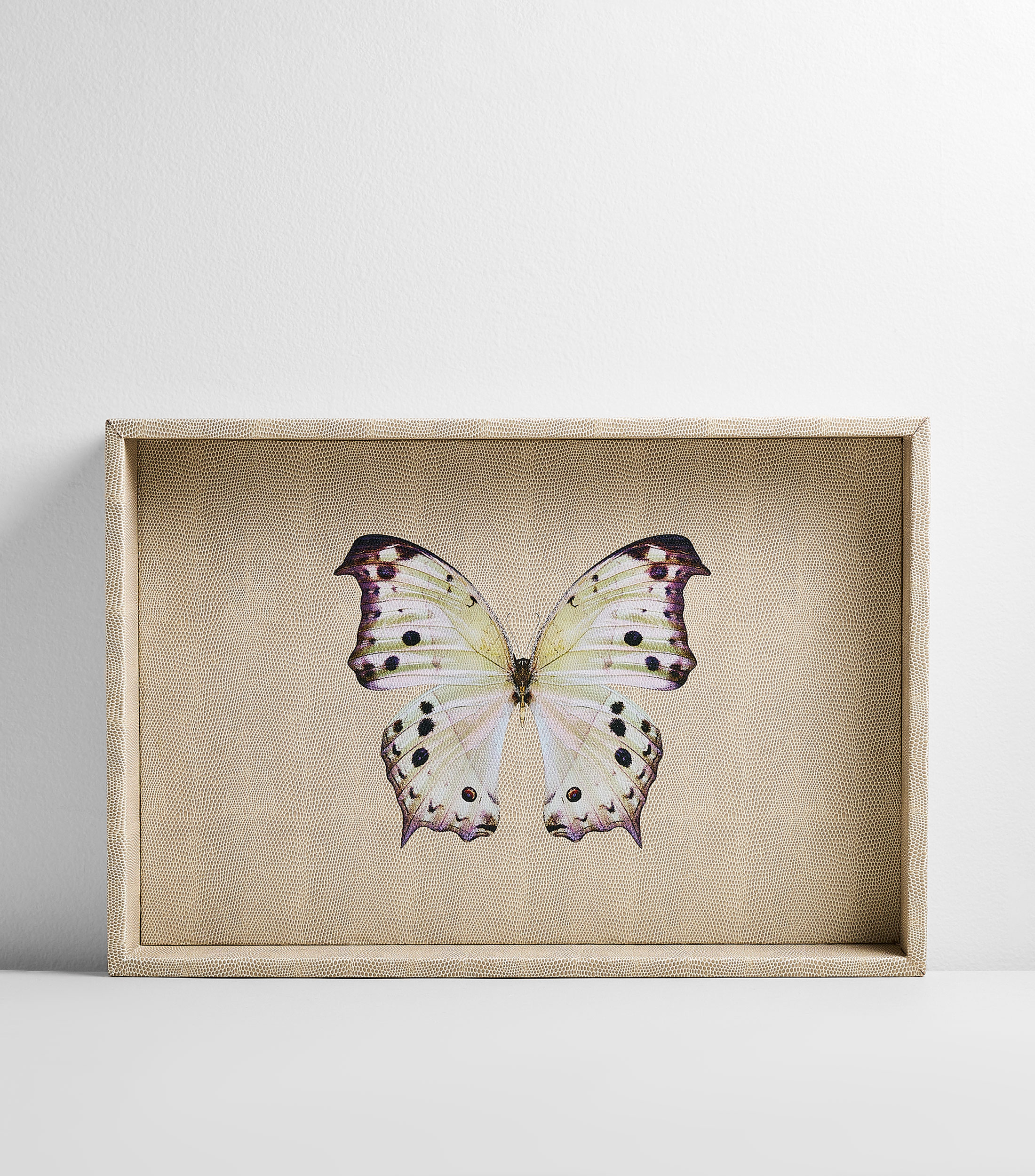 Charola mediana Mariposa