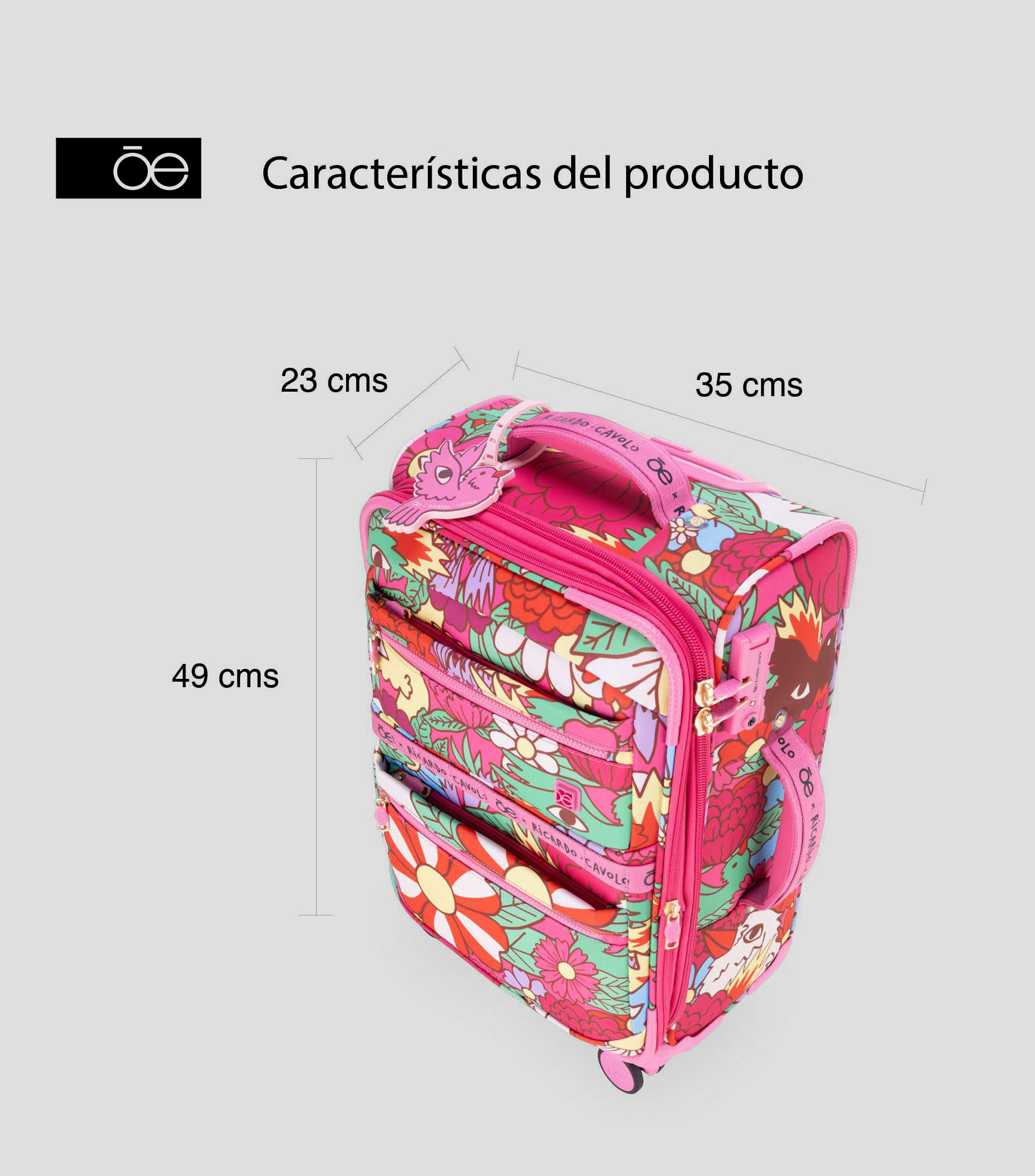Maleta para cabina 10 kg Cavolo Multicolor