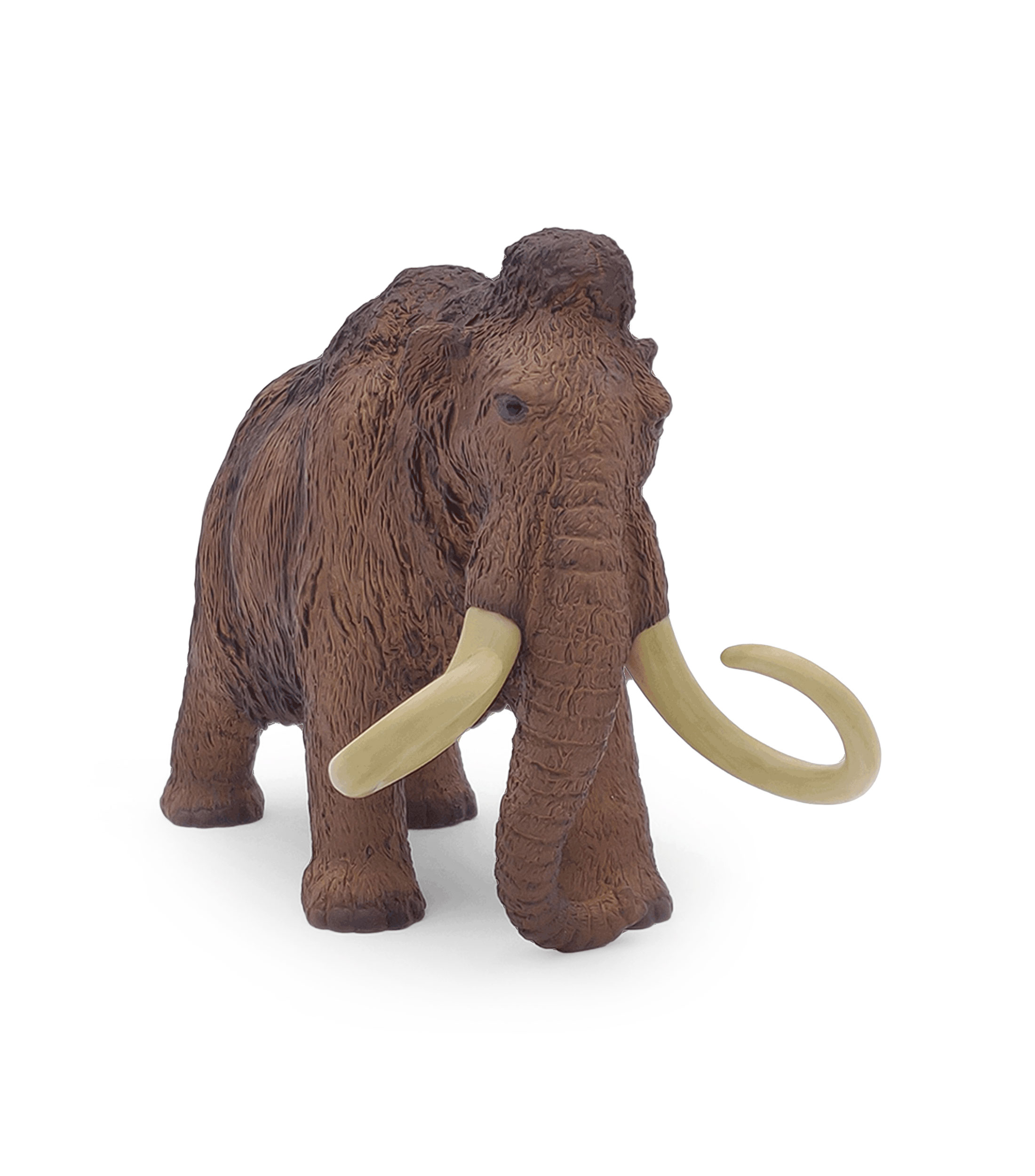 Mamut