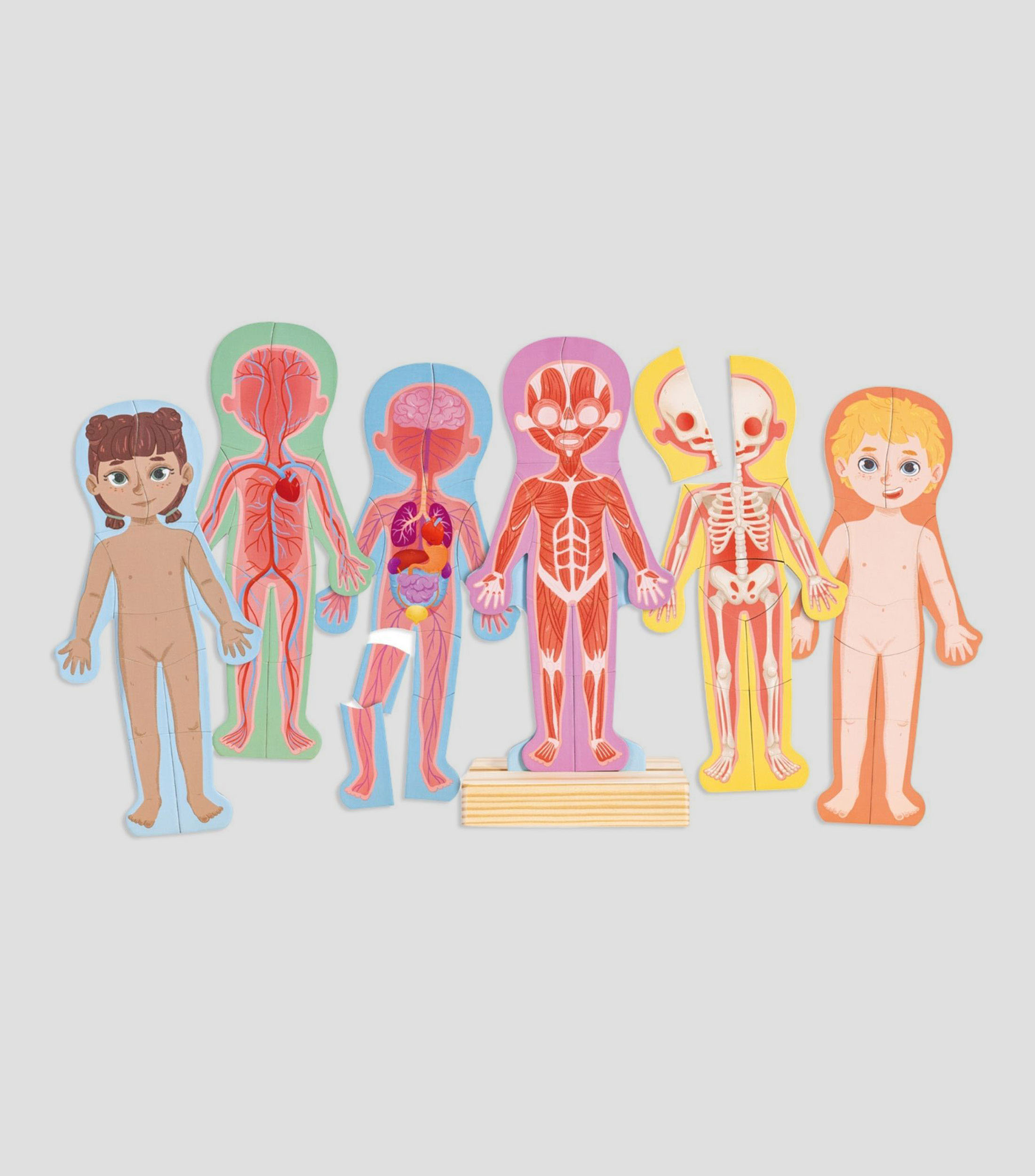 Rompecabezas Magnetico del Cuerpo Humano
