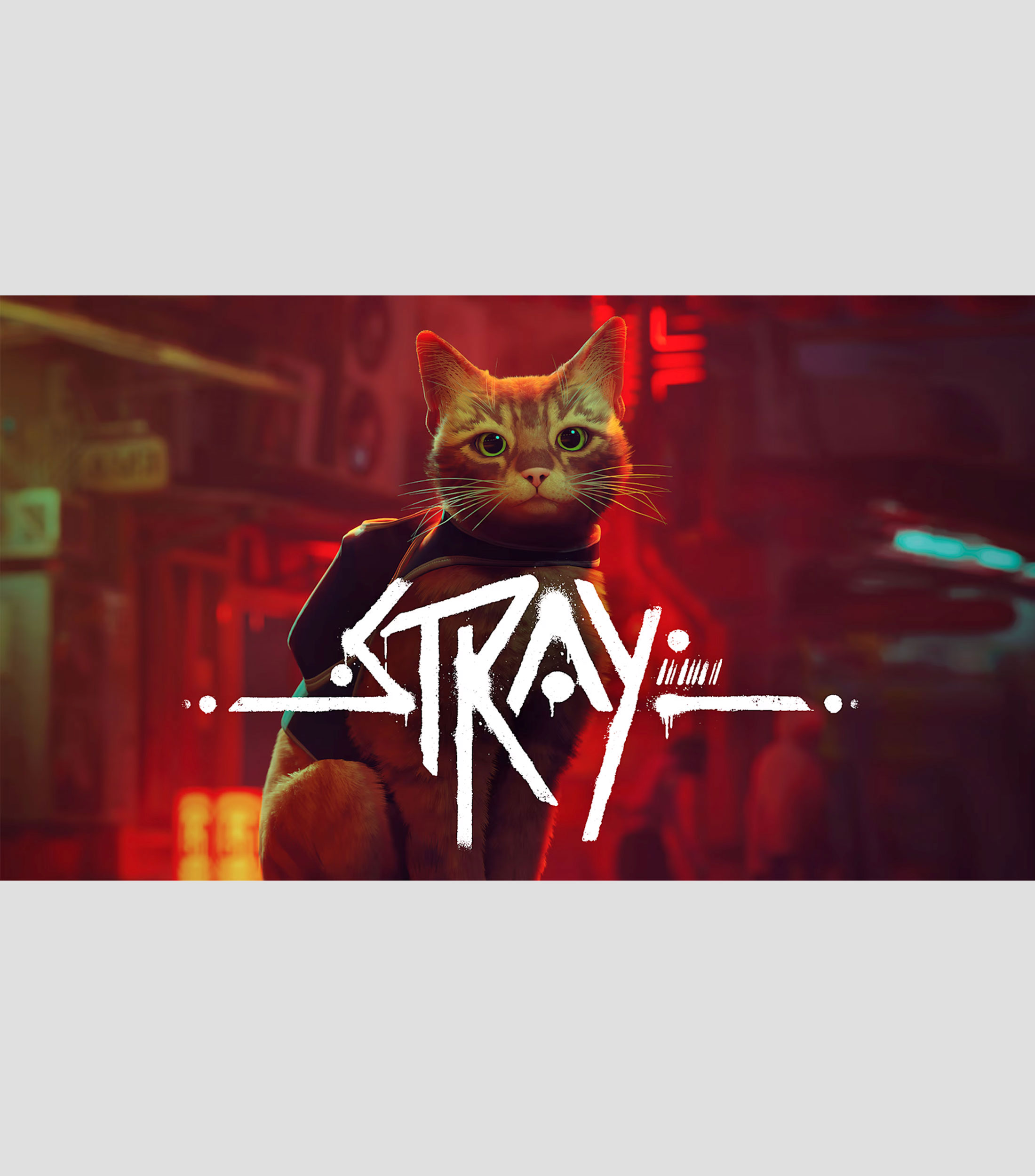 Stray Nintendo Switch