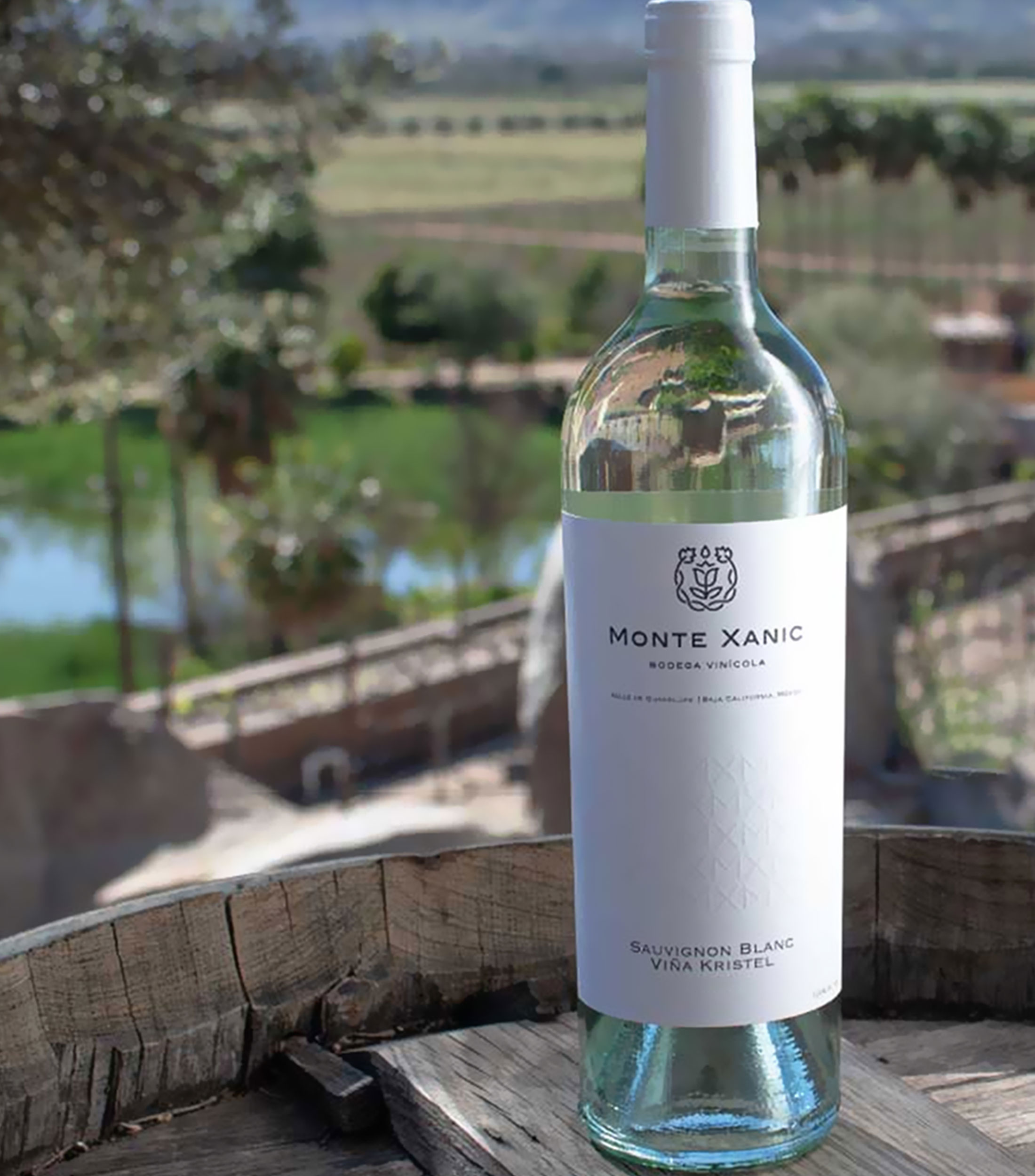 Vino Blanco Sauvignon Blanc, 750 ml