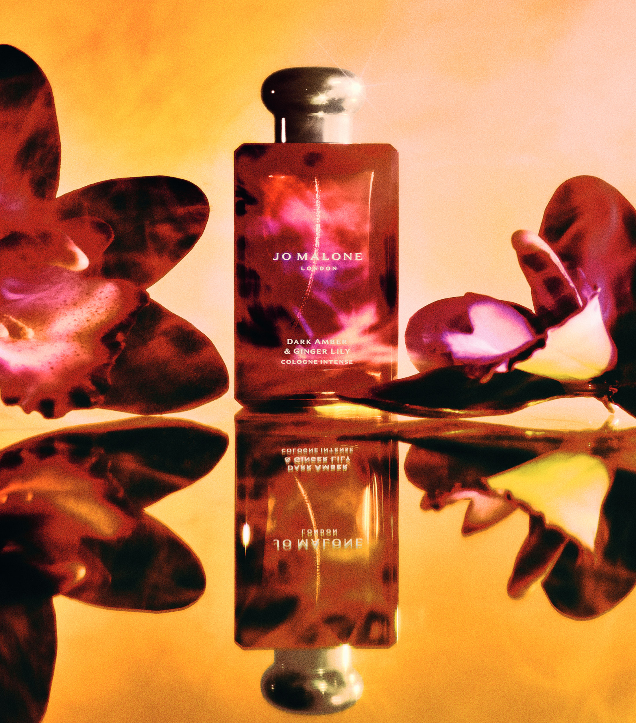 Perfume, Dark Amber amp Ginger Lily Eau de Cologne, 100 ml Unisex