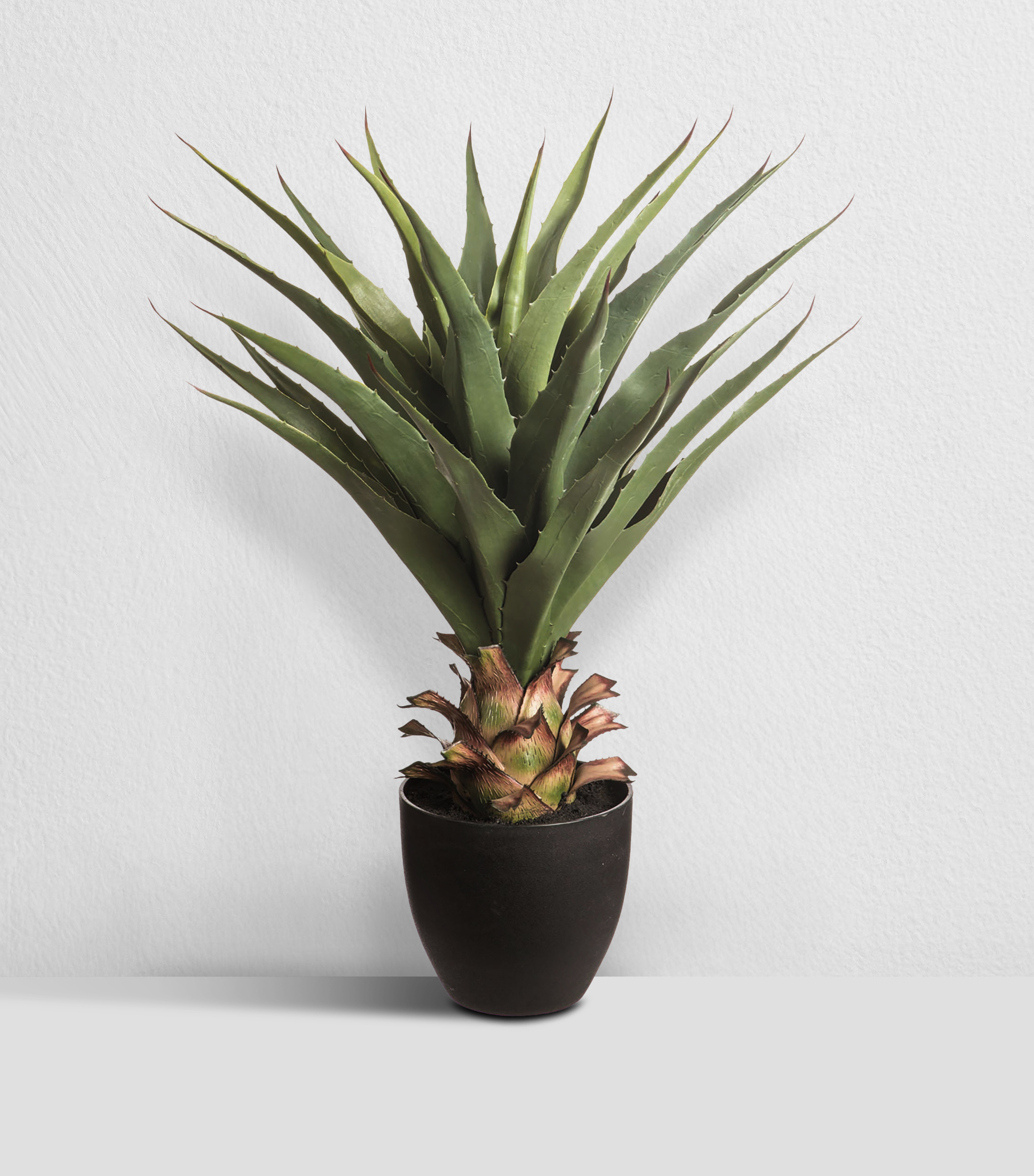 Planta decorativa Agave con Maceta artificial