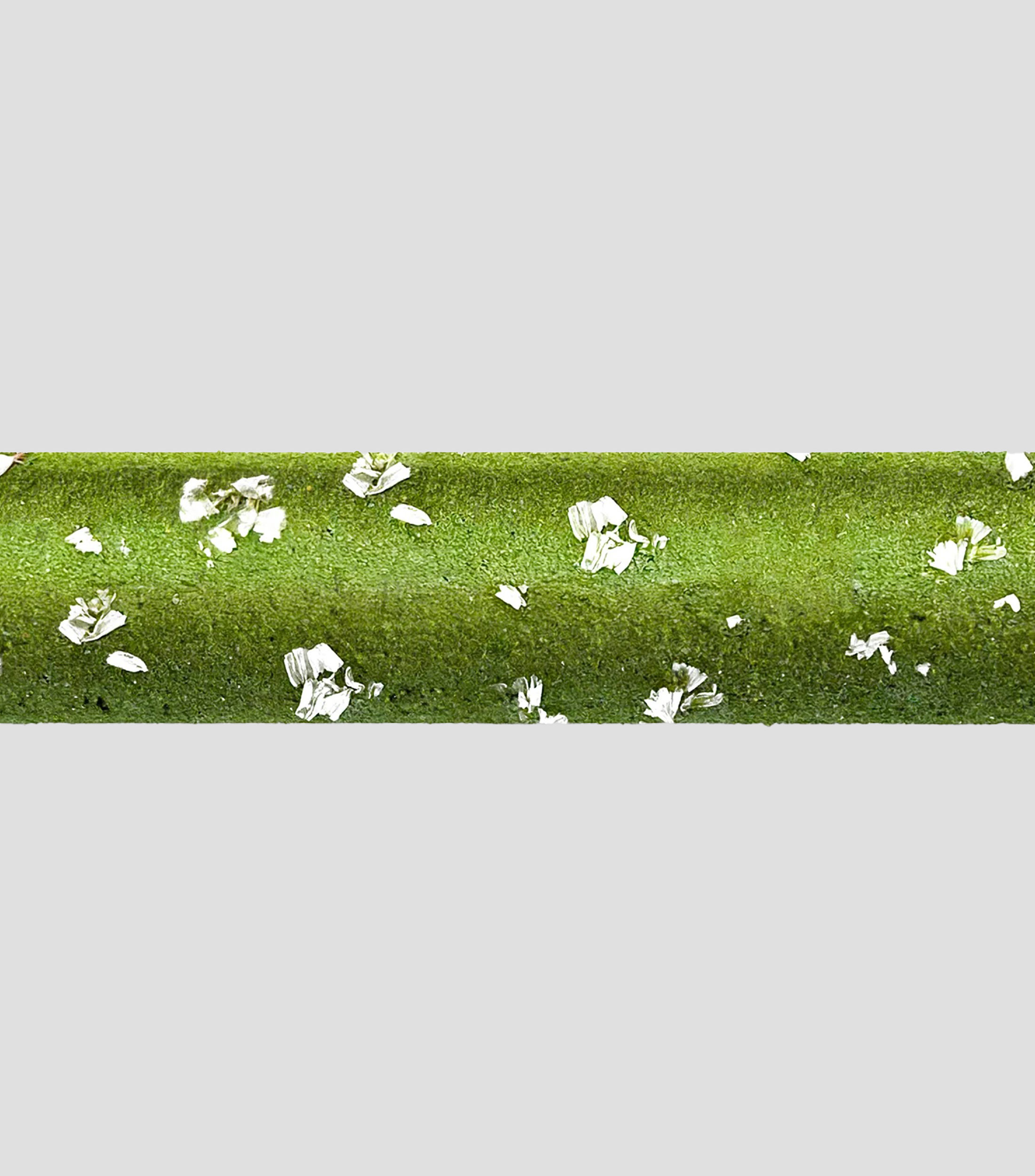 Incienso XL 1.2 M Fresh Cucumber