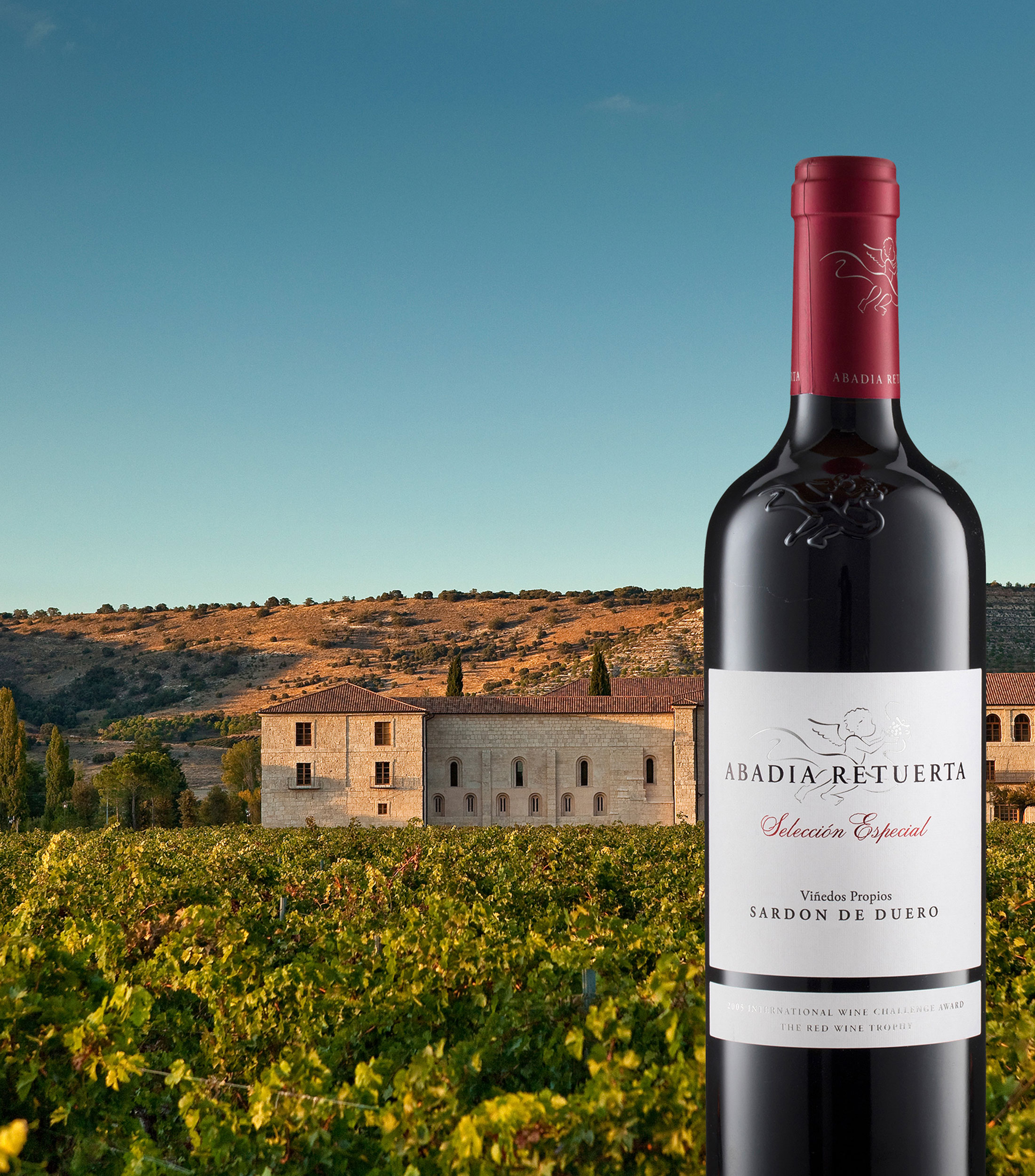 Vino Tinto Tempranillo Selección Especial, España, 750 ml
