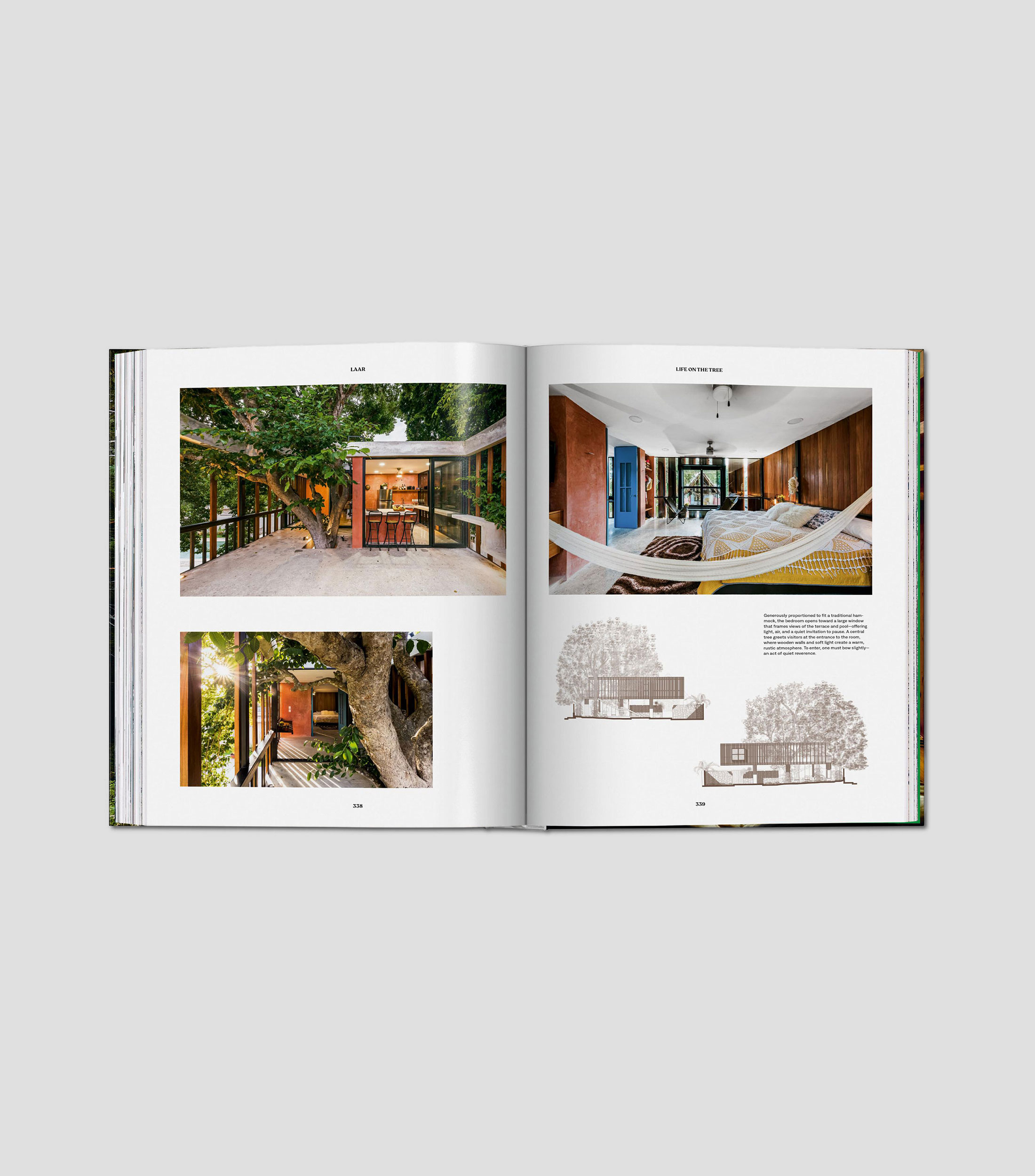 Interés GeneralModern Tree Houses