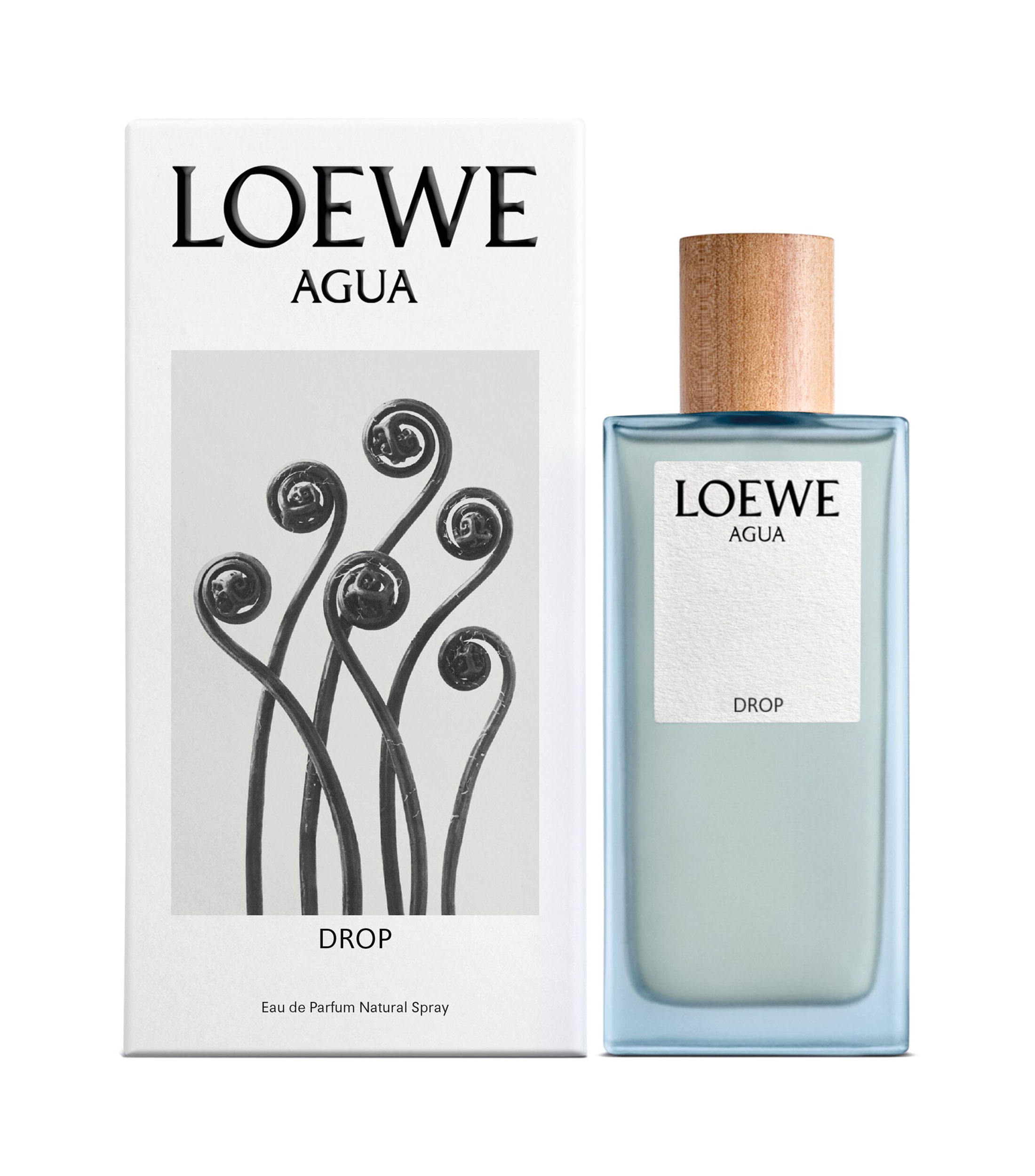 LOEWE AGUA DROP EDP 100ML
