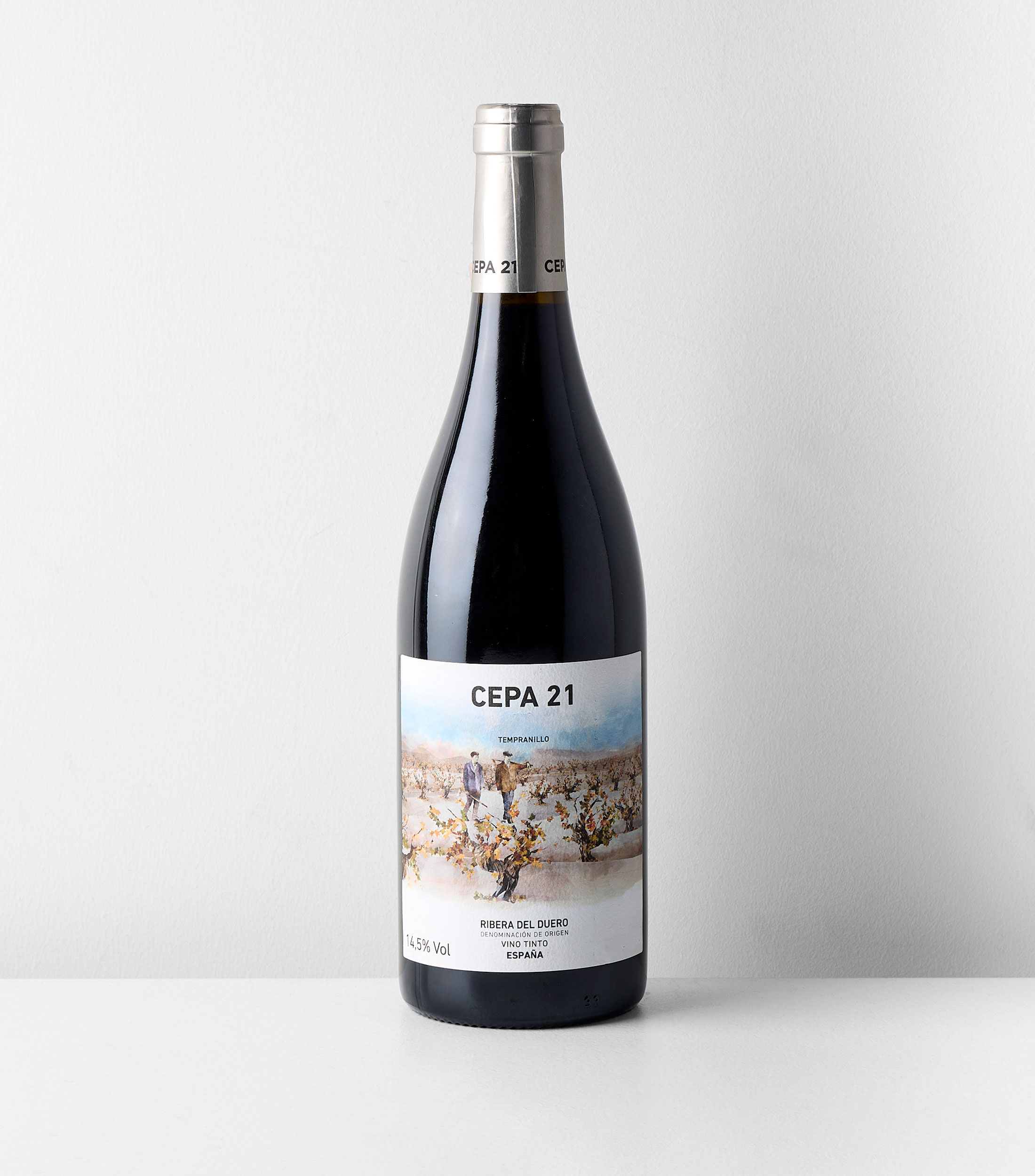 Vino tinto tempranillo Cepa 21, España, 750 ml