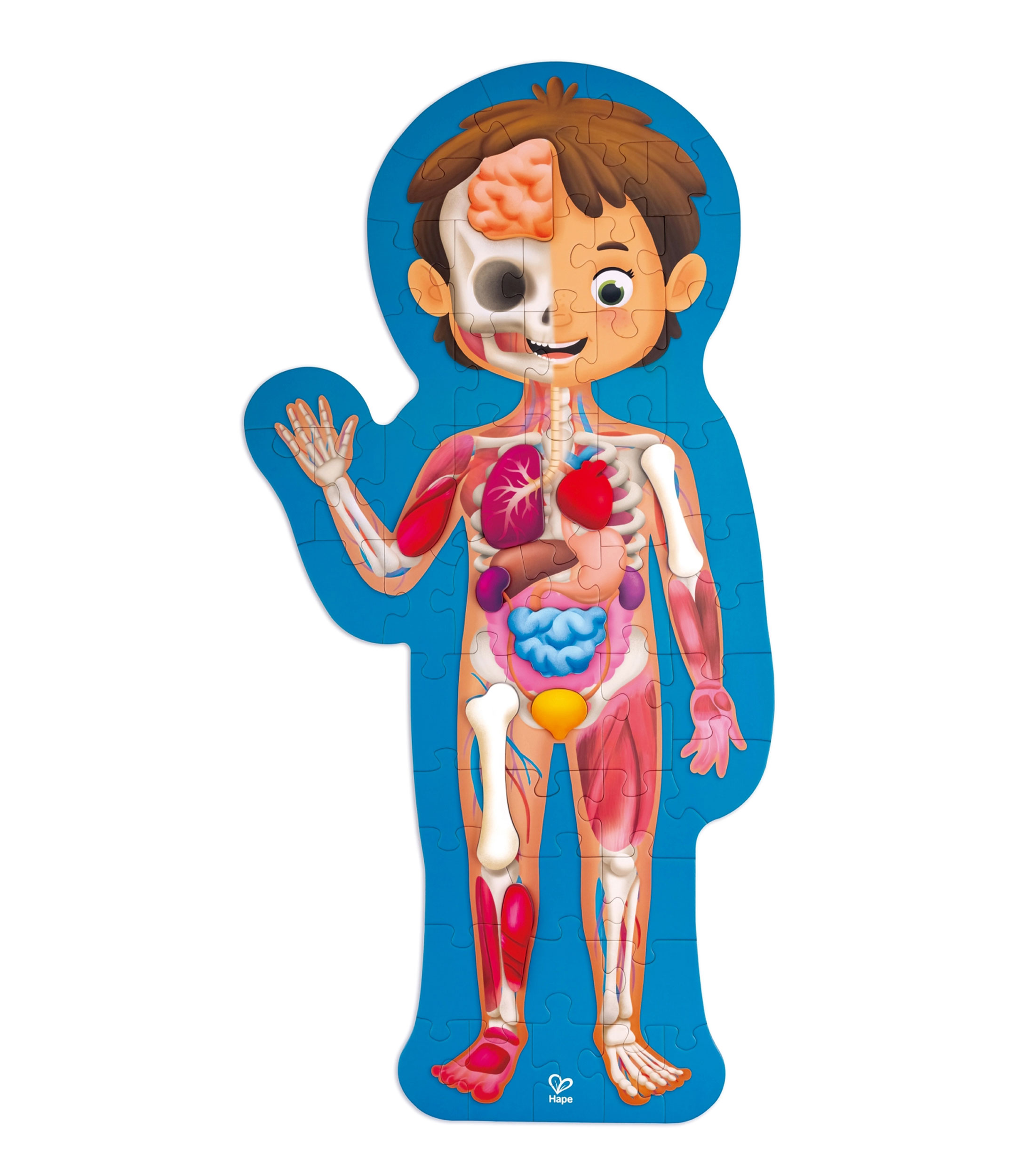 Hape Rompecabezas del cuerpo humano