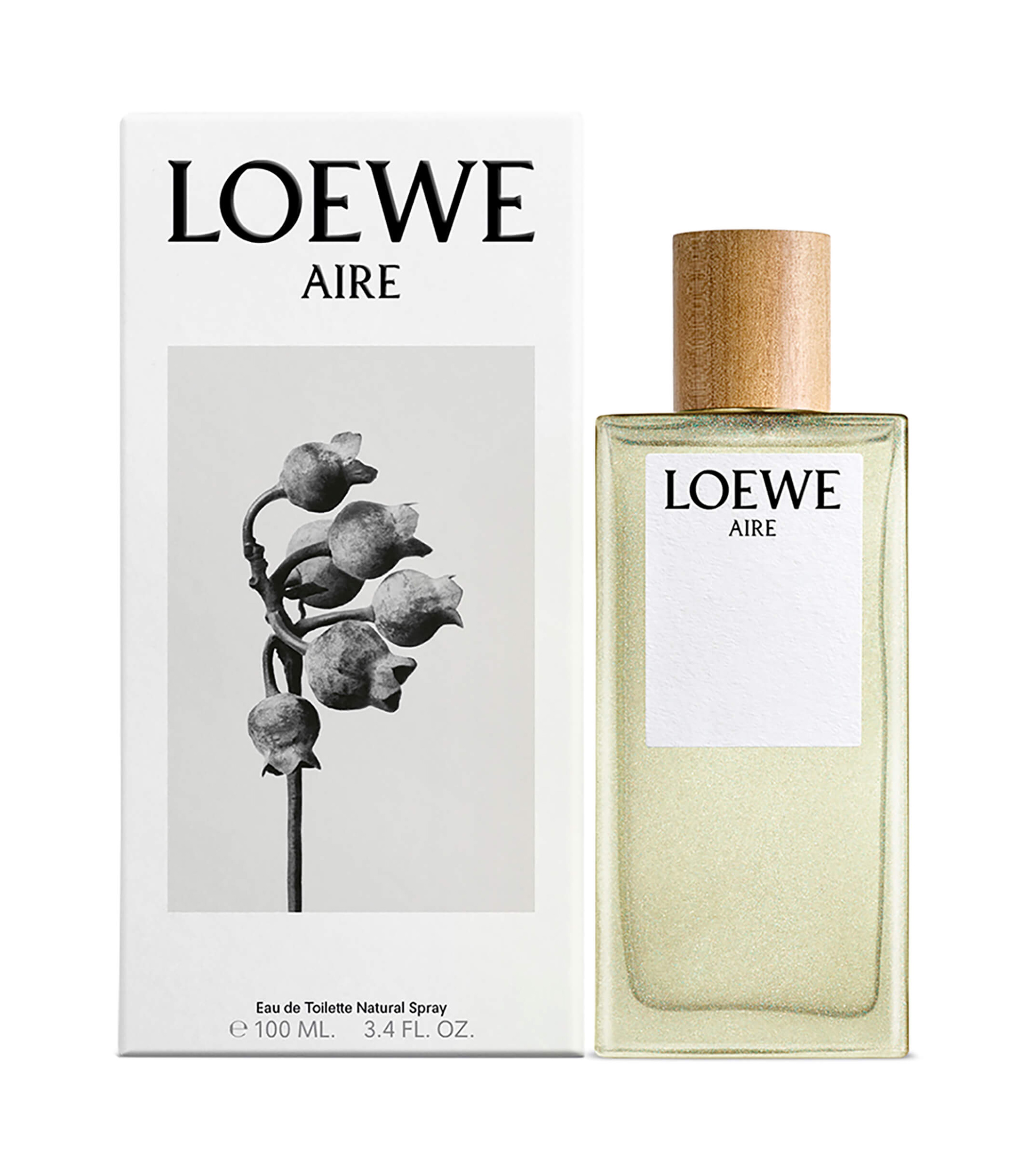 LOEWE AIRE EDT 100 ML