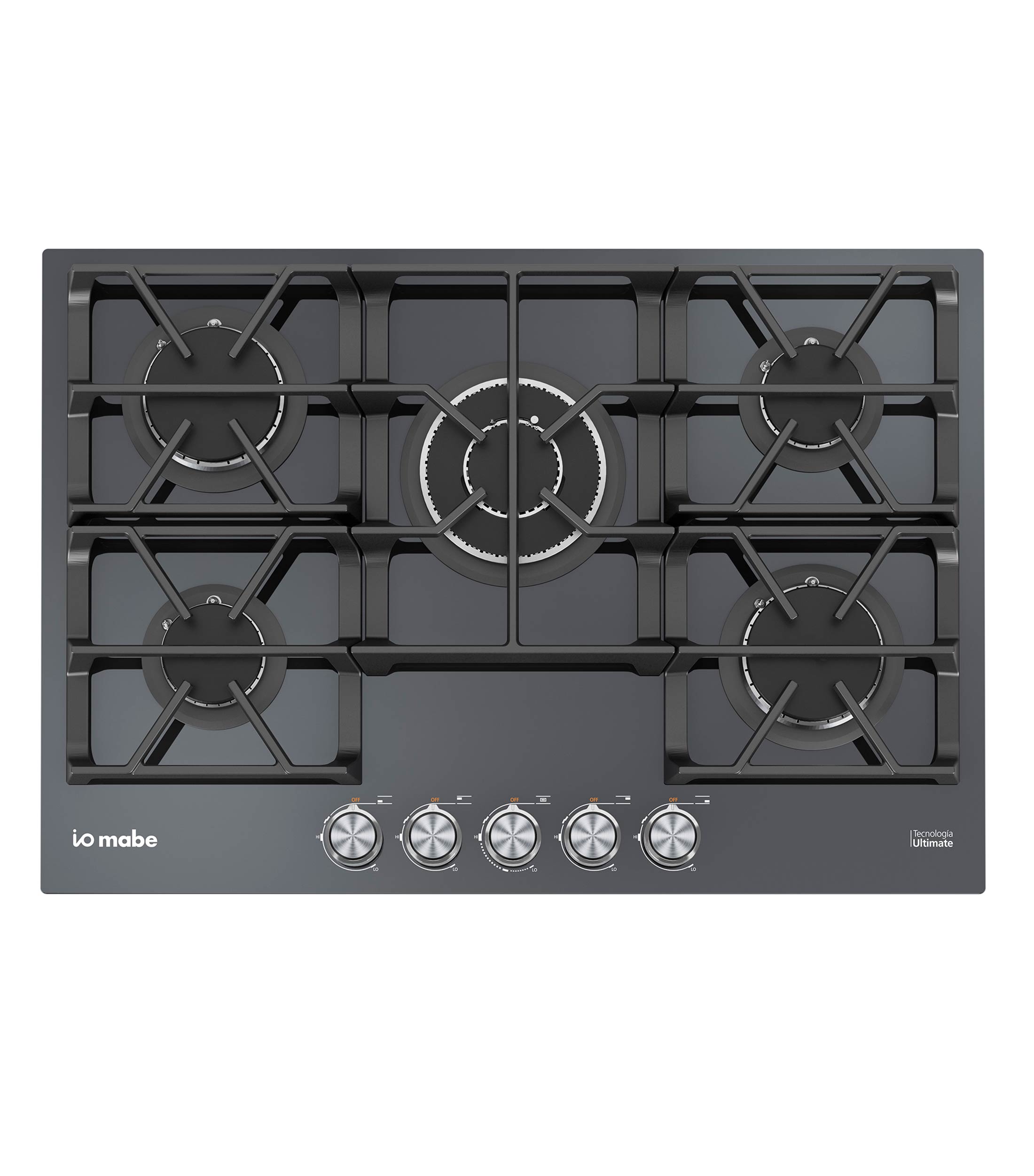 Parrilla de Gas LP Black 5 quemadores en Acero inoxidable