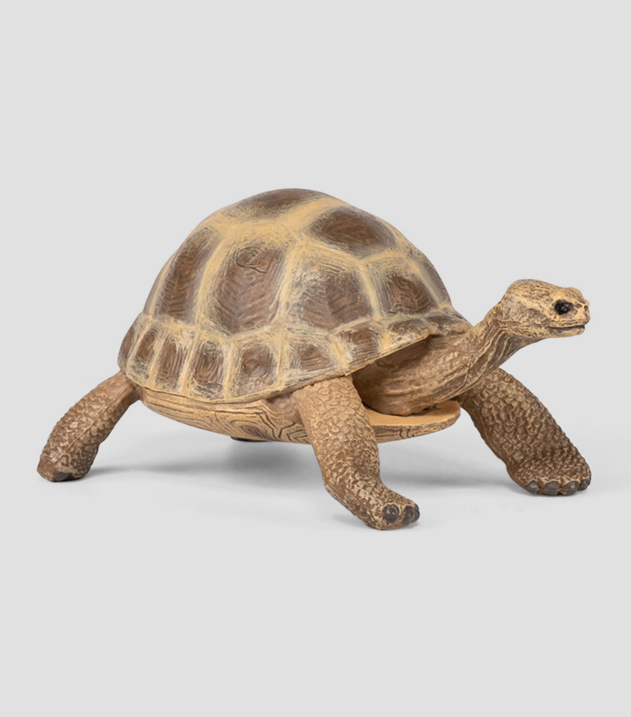 Figura Coleccionable Tortuga Hermanni