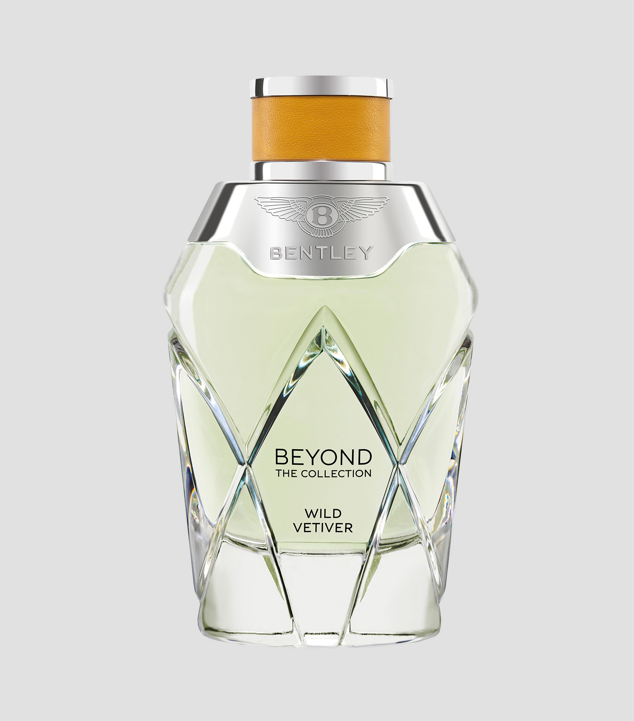 Perfume Beyond Wild Vetiver Eau de Parfum, 100 ml Unisex