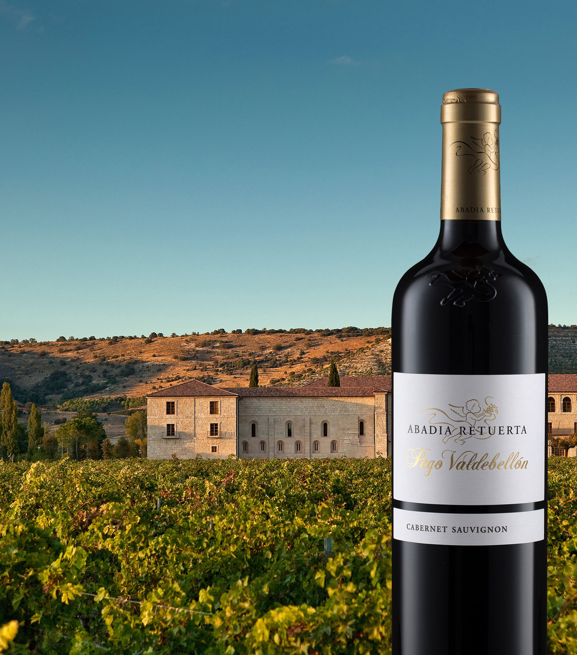 Vino tinto Cabernet Sauvignon Pago Valdebellón, España, 750 ml