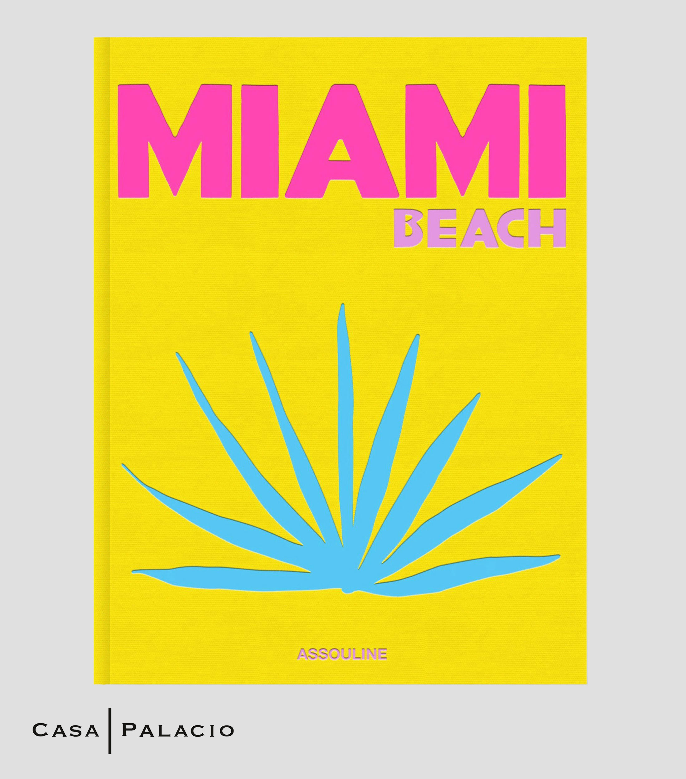 Arte Y RecreaciónMiami Beach, Iggy Pop