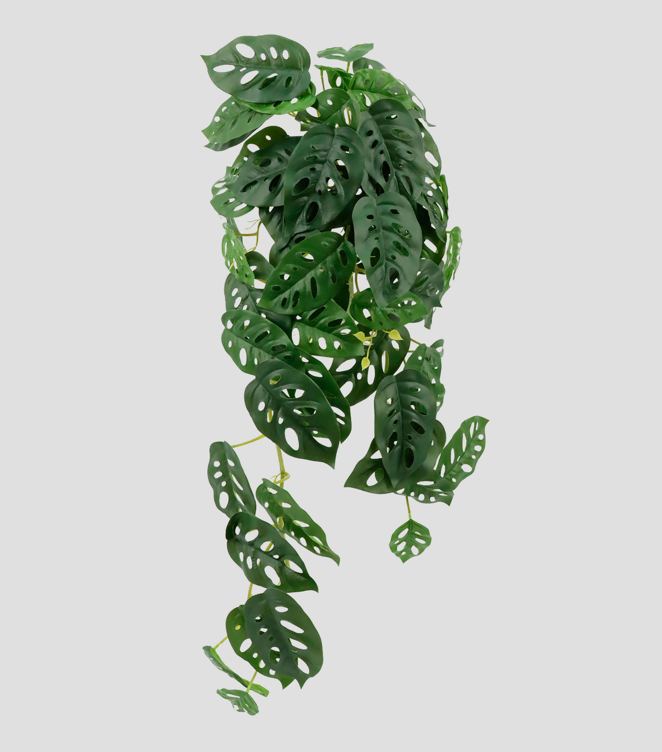 Planta colgante Monstera Adansonii, Artificial