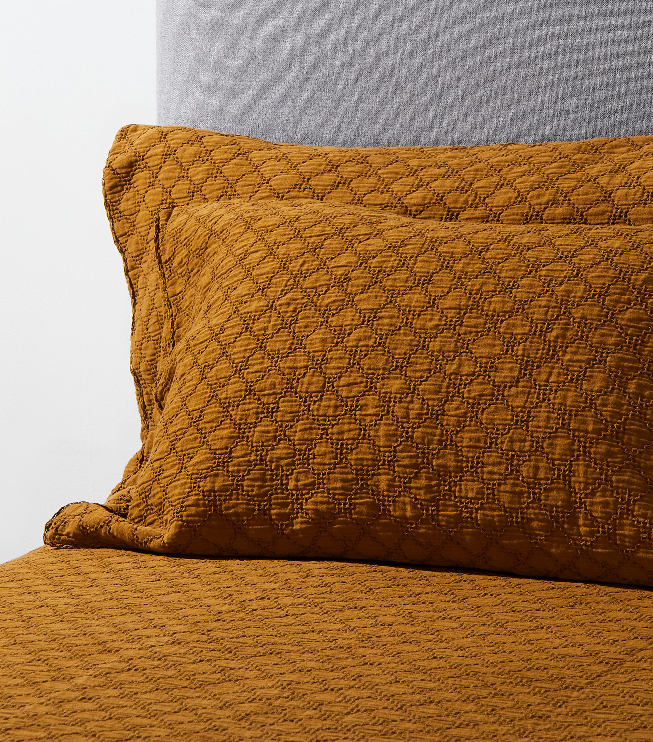 Funda para almohada Estándar en algodón terra