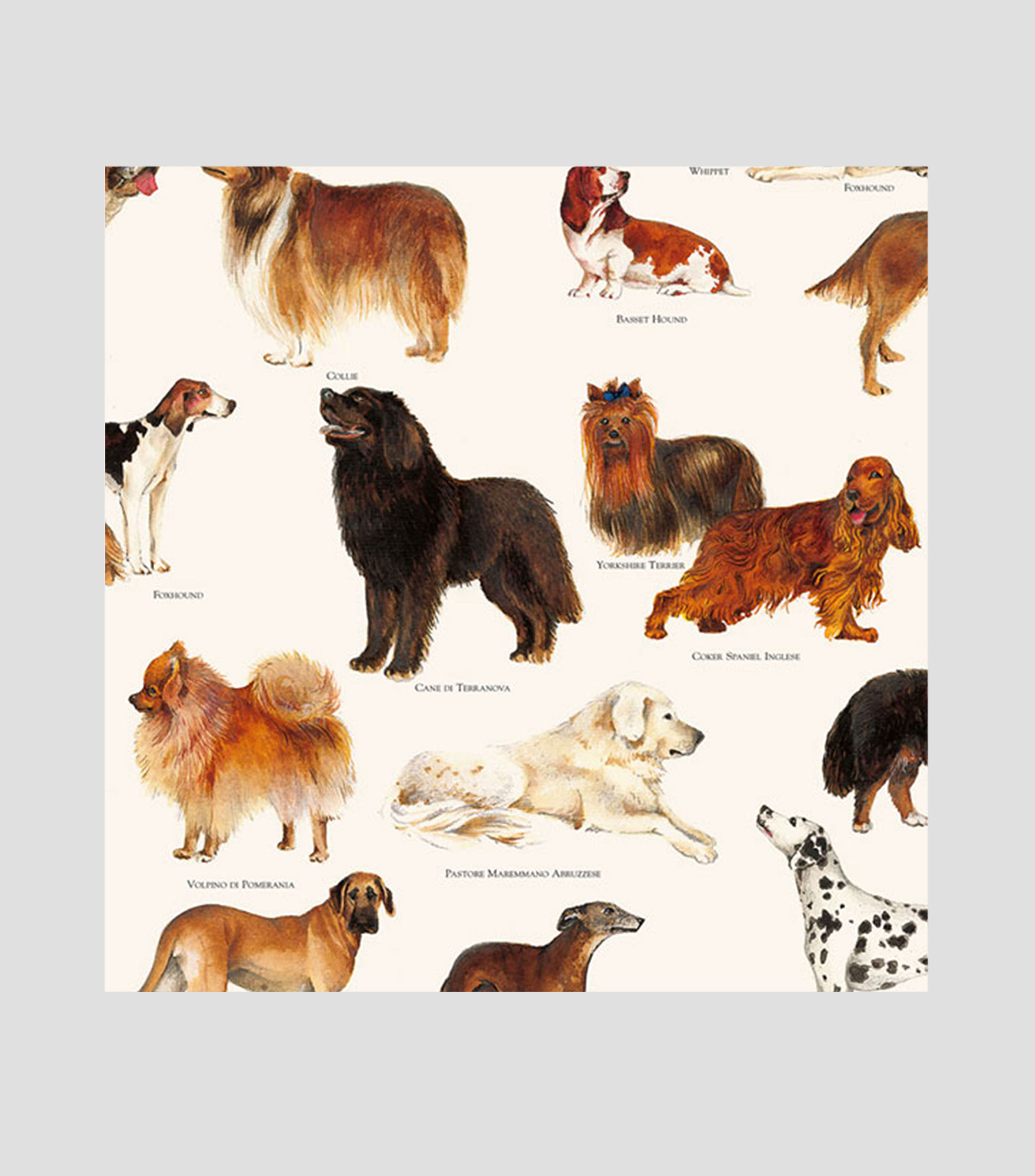 Papel en pliego Perros