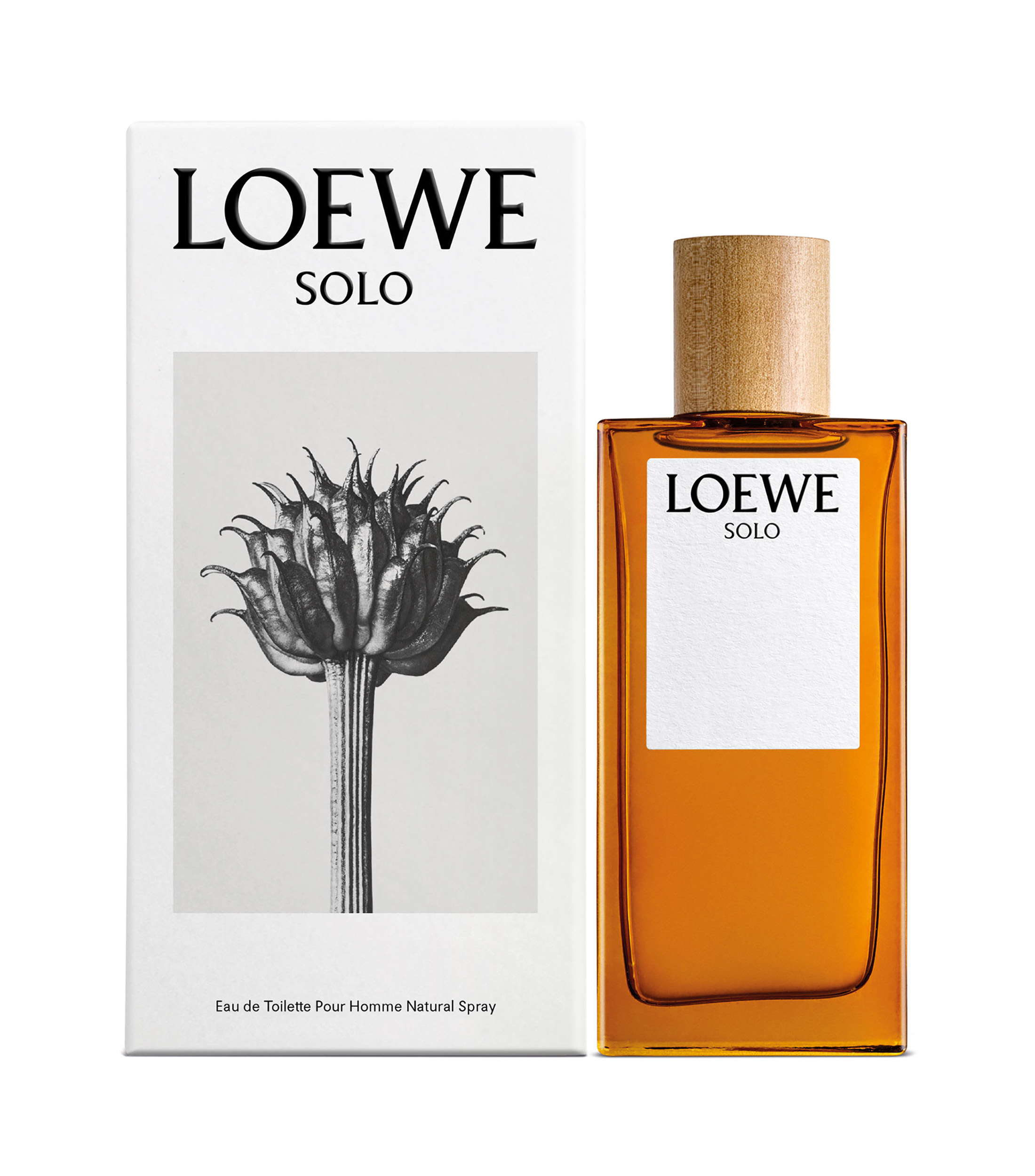 LOEWE SOLO EDT 100 ML